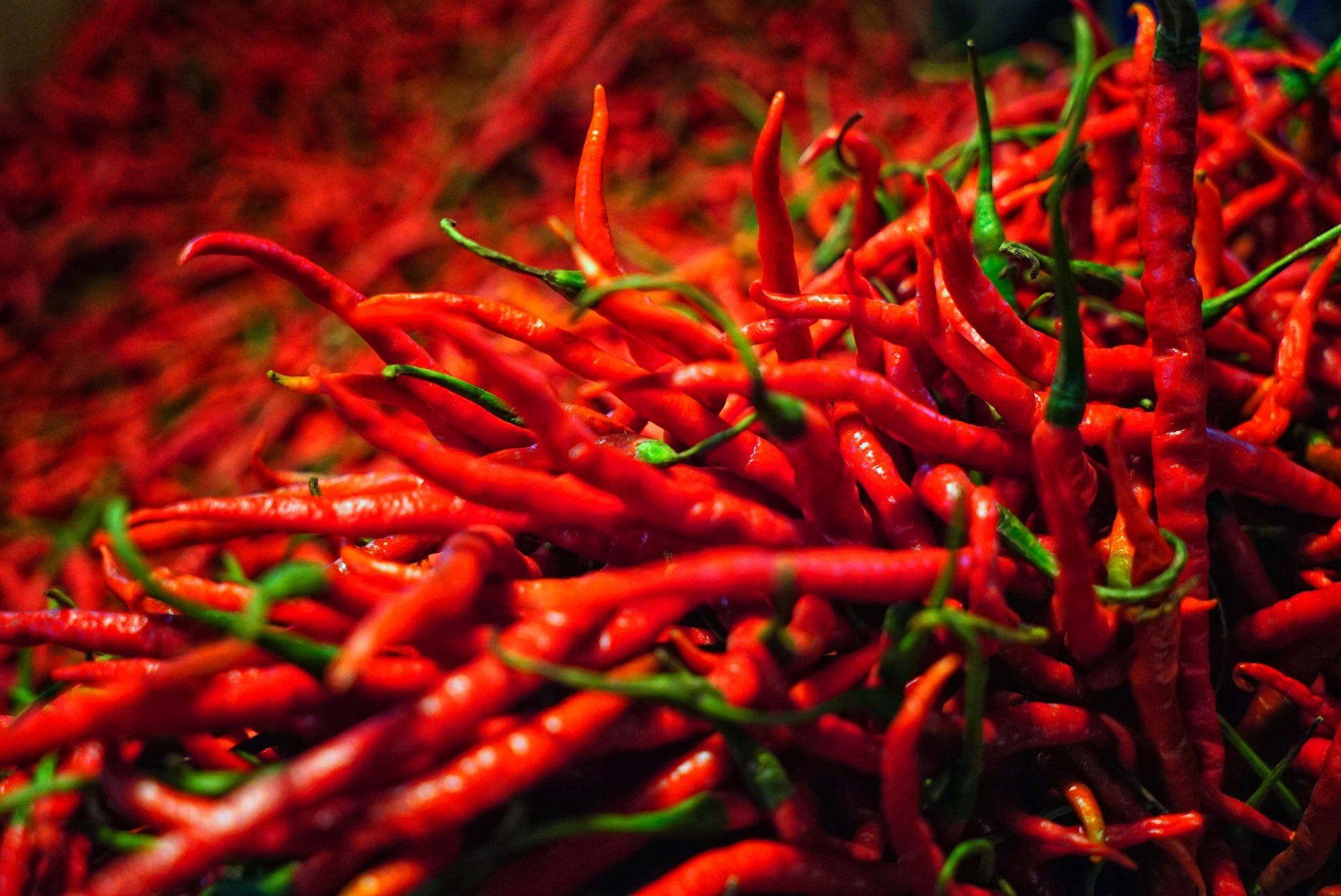 1920x1283 Fiery Red Chili
