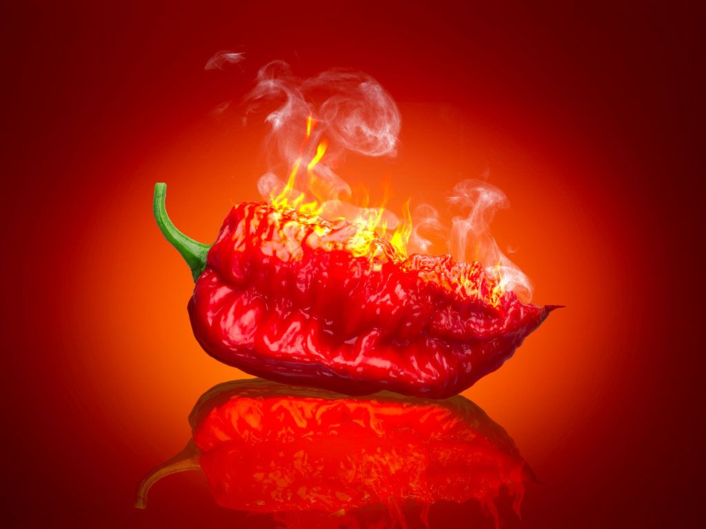 1024x768 chili peppers Archives Highland Lakes