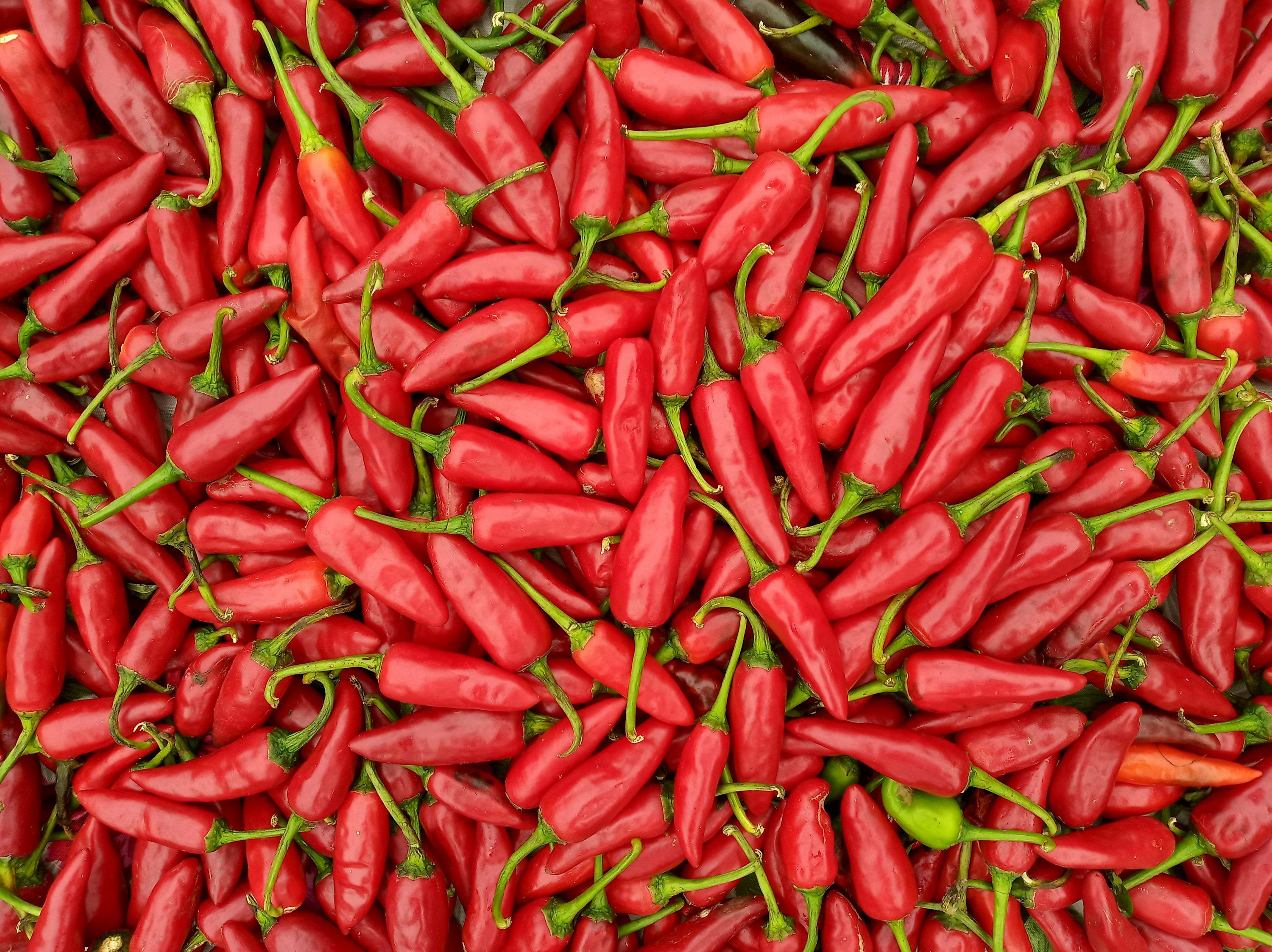 3000x2247 A pile of red peppers with green stems photo