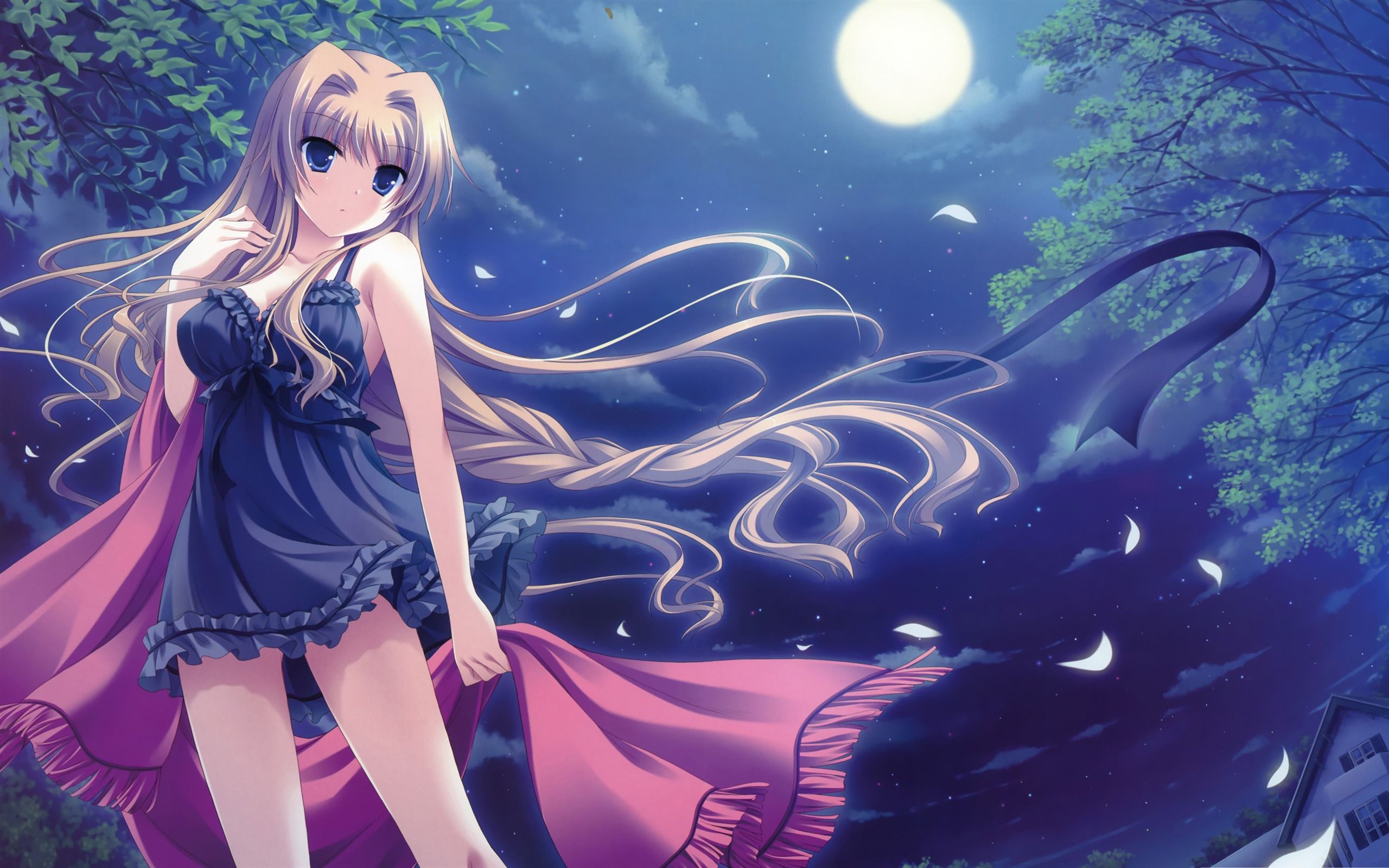 2560x1600 Anime Girl Anime Character Design Desktop Wallpaper