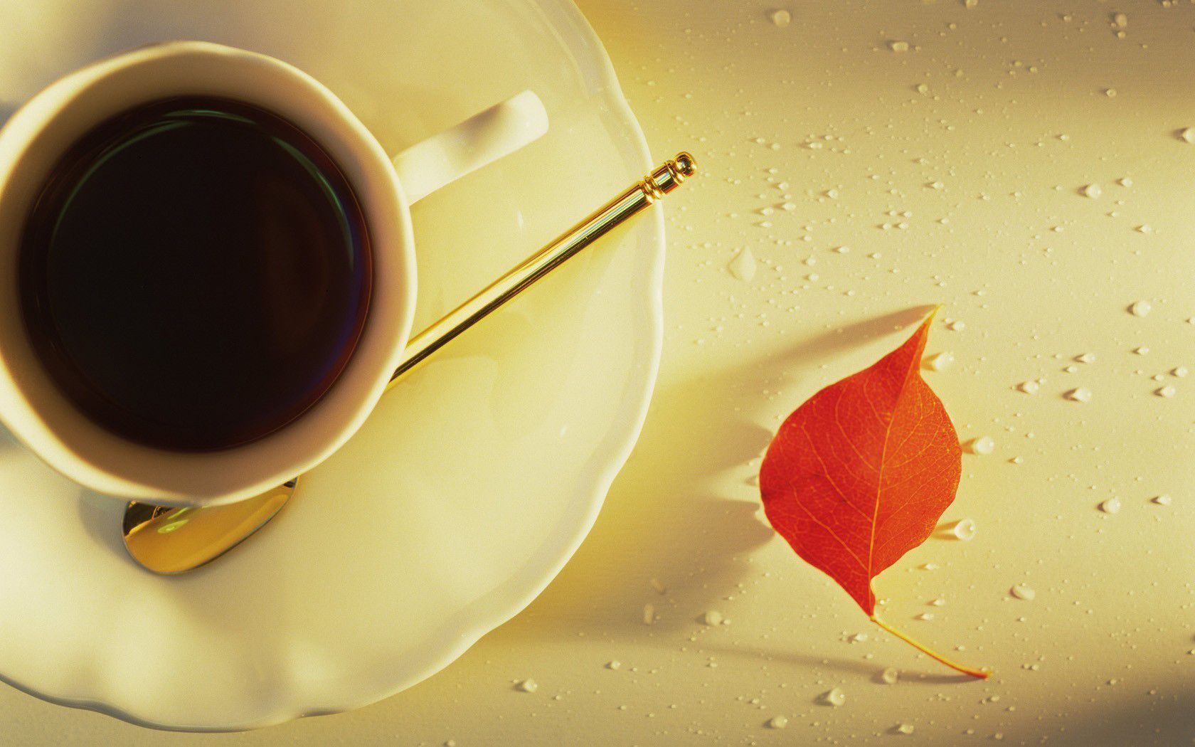 1680x1050 Autumn Brew