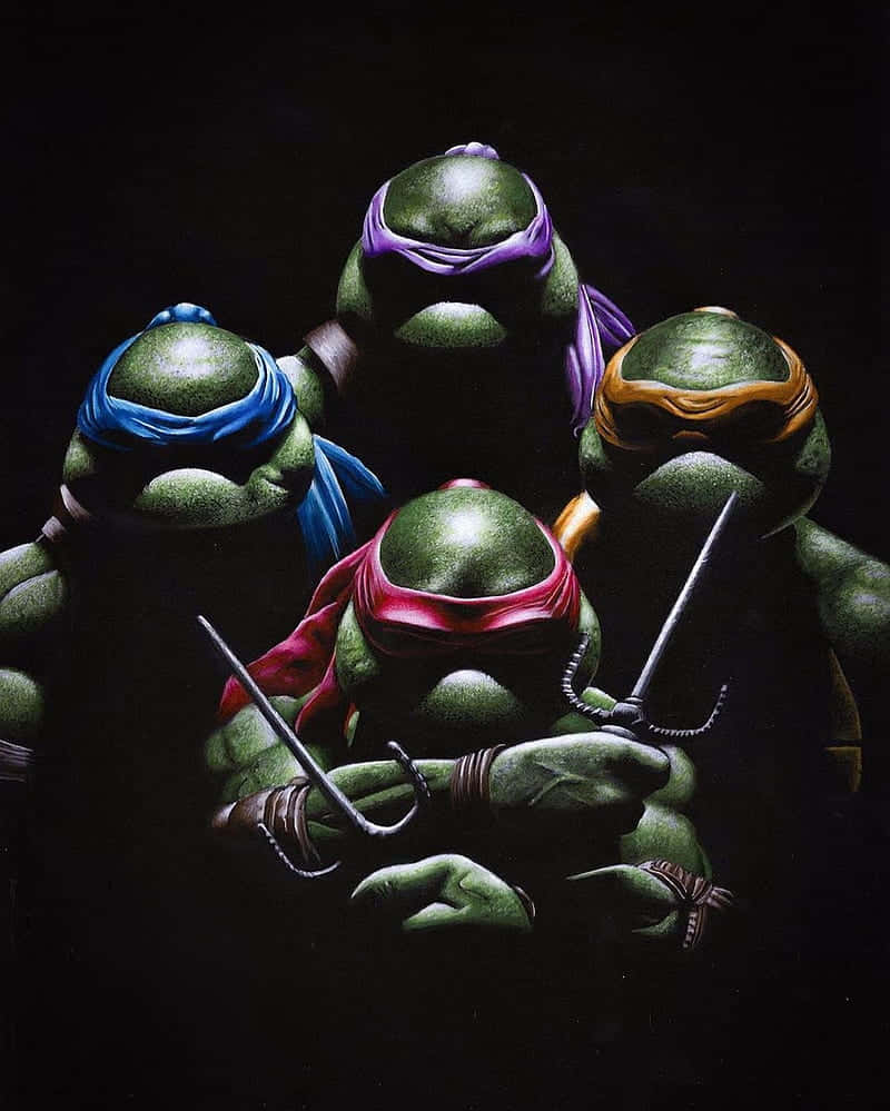 800x999 The Famous Teenage Mutant Ninja Turtles: Ready To Take On All Challenges! Wallpaper