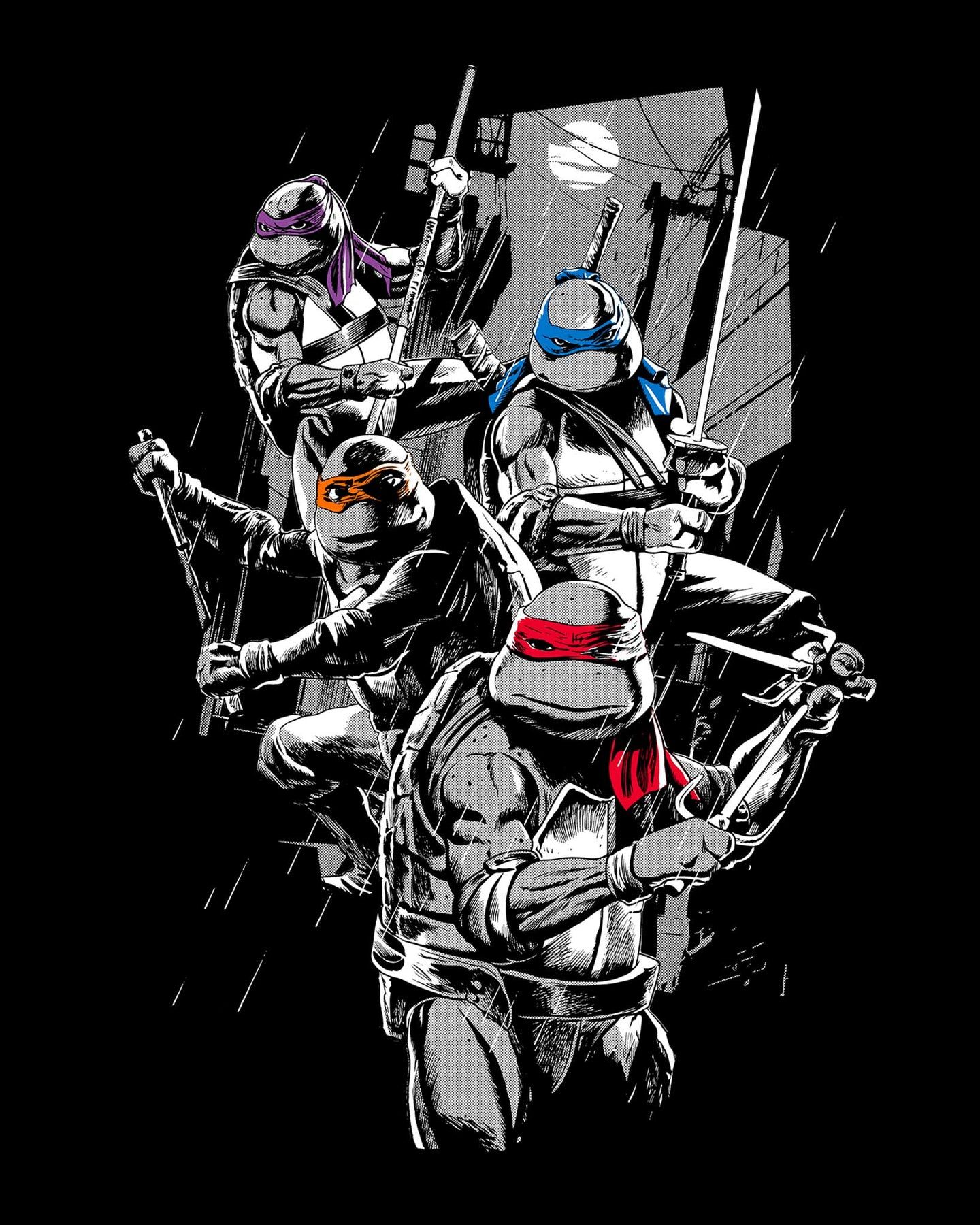 1440x1800 Teenage Mutant Ninja Turtles (1990)