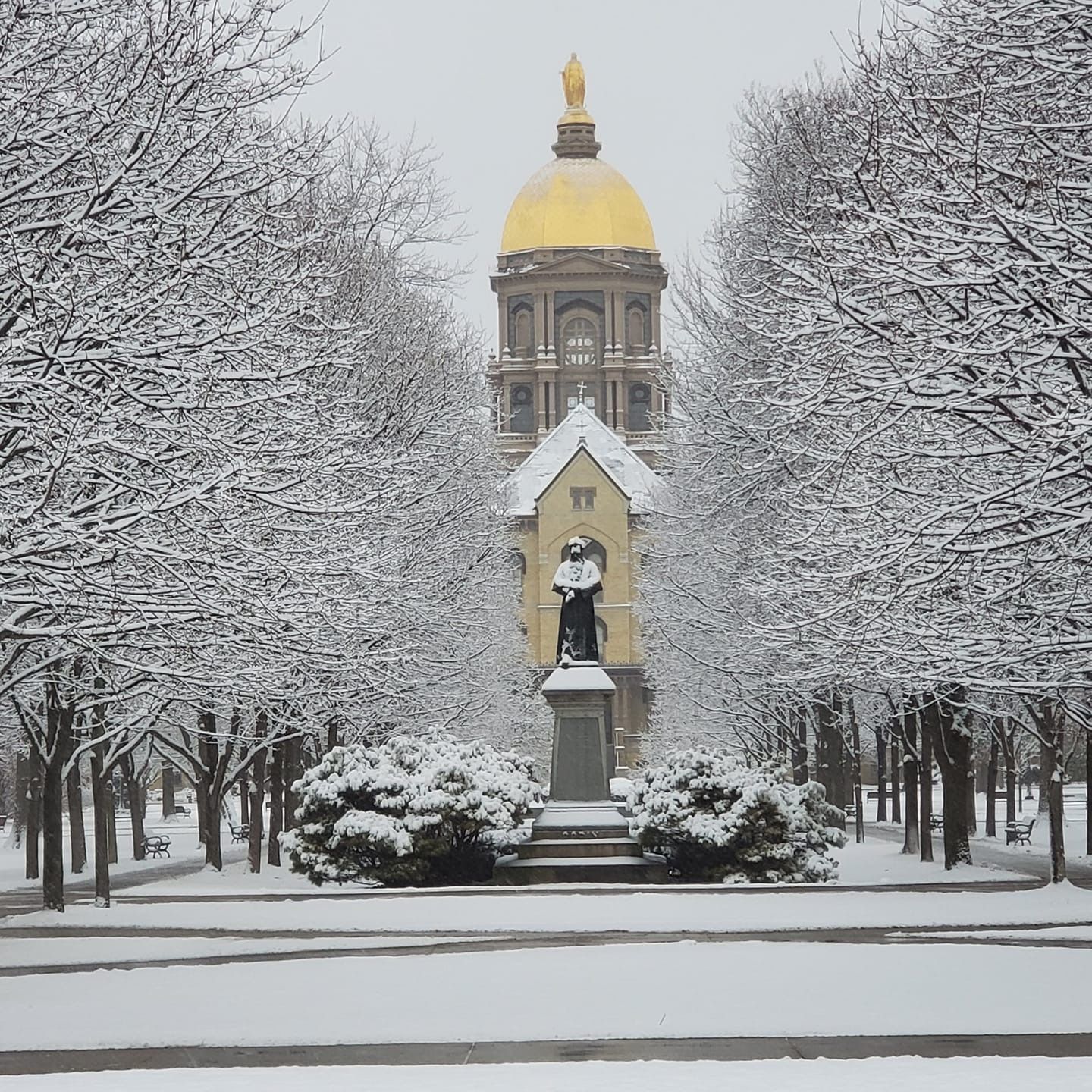 1440x1440 Best Notre Dame Football ideas. notre dame sayings, notre dame irish wallpaper, notre dame football wallpaper