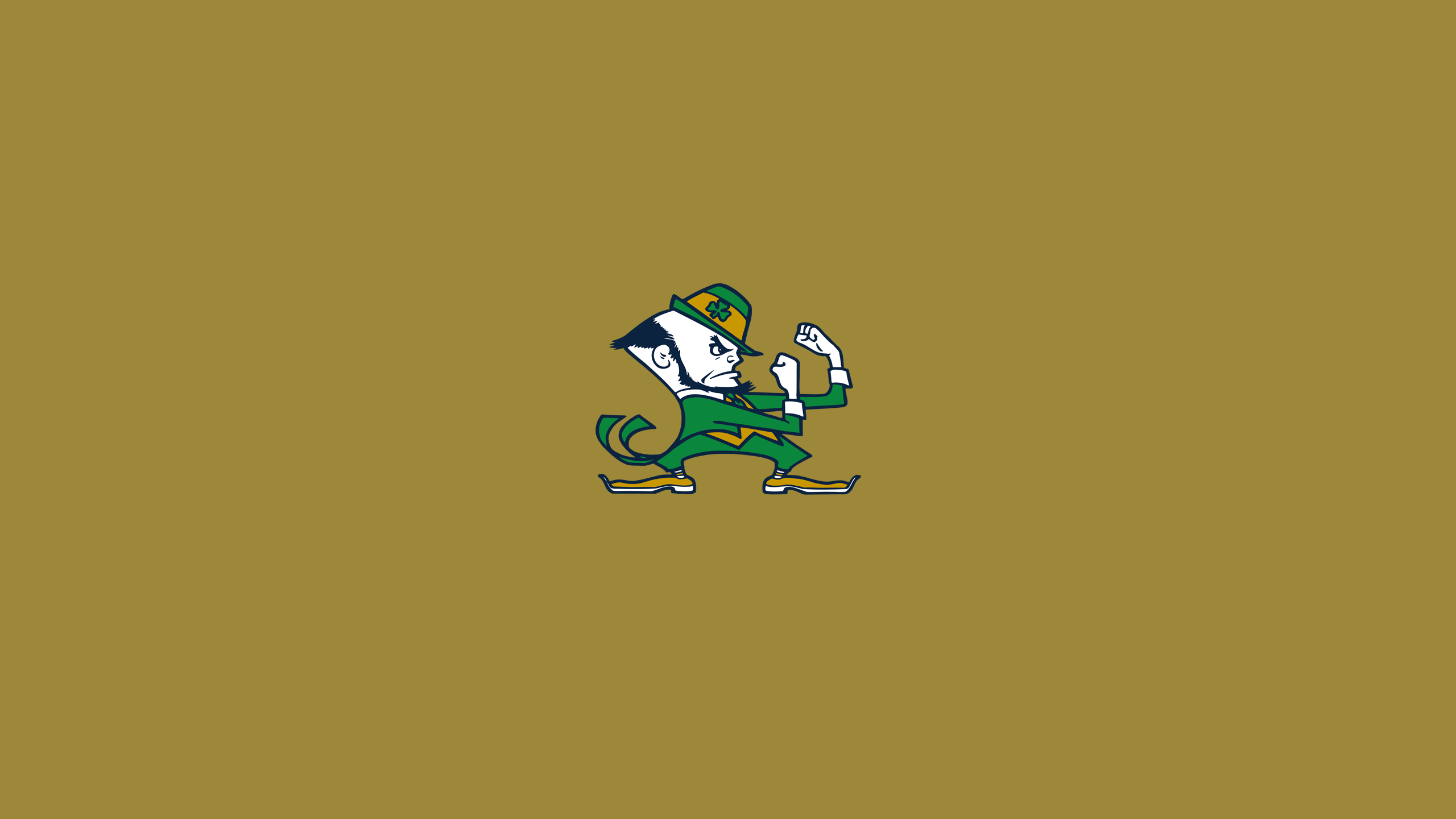 2560x1440 Notre Dame Fighting Irish. Stephen Clark (sgclark.com)