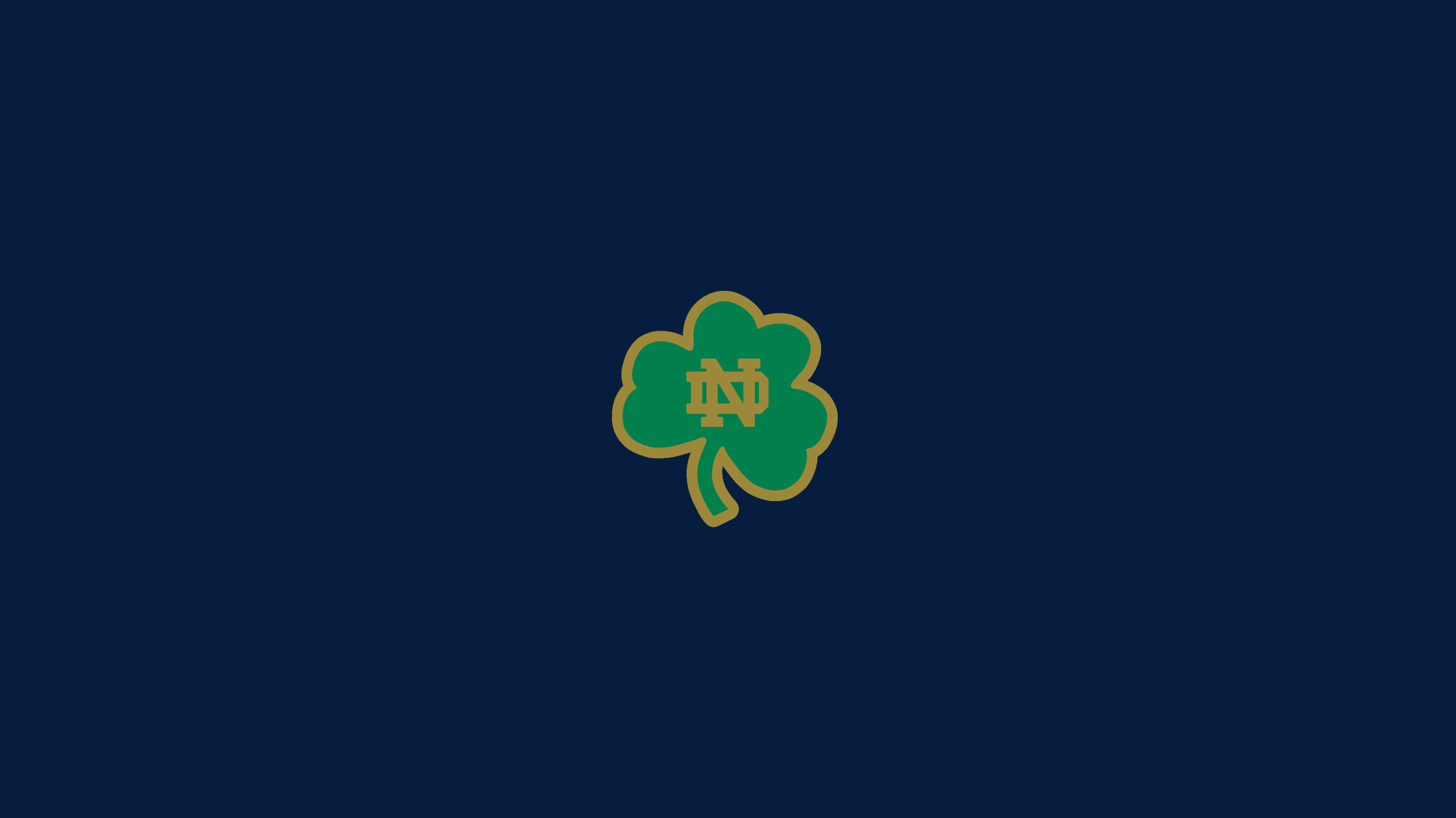 2560x1440 Notre Dame Fighting Irish. Stephen Clark (sgclark.com)