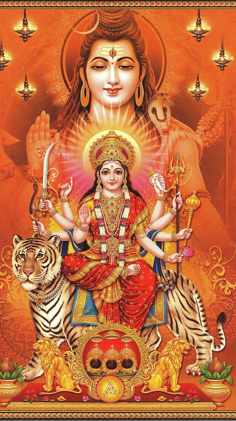 800x1422 Durga matha, ammavari, jai matha di, HD phone wallpaper