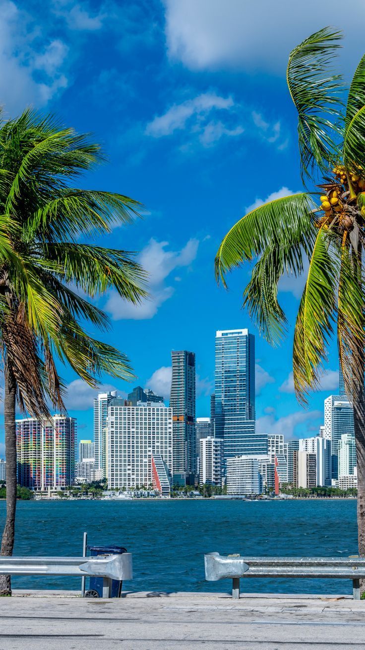 736x1308 Captivating Views of Vibrant Miami. Praia urbana, Fotos miami, Assistir jogo
