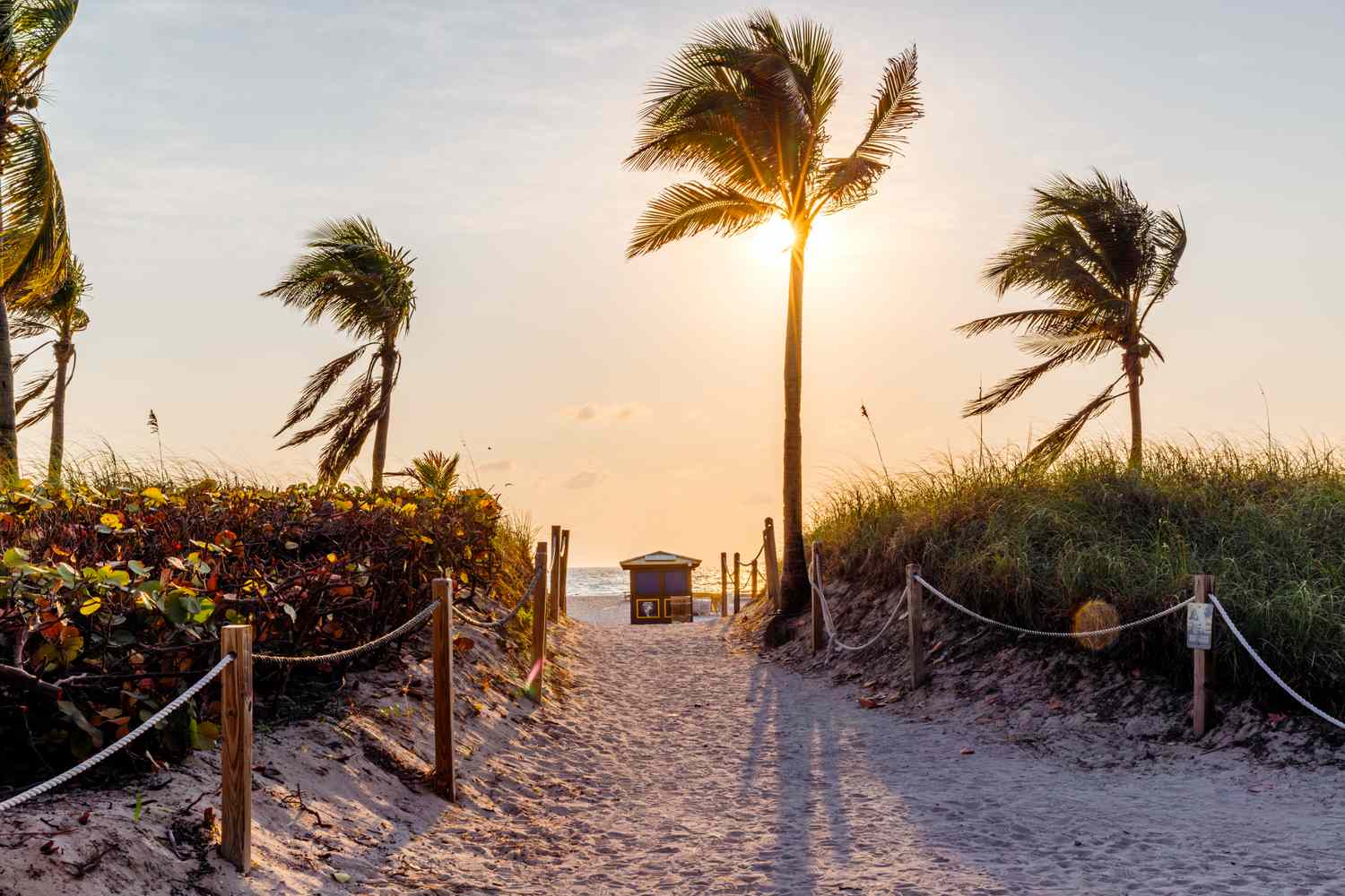 1500x1000 I'm A Floridian Travel Writer—And This Is The Florida City I Make Sure To Visit Before The Spring Break Crowds Hit