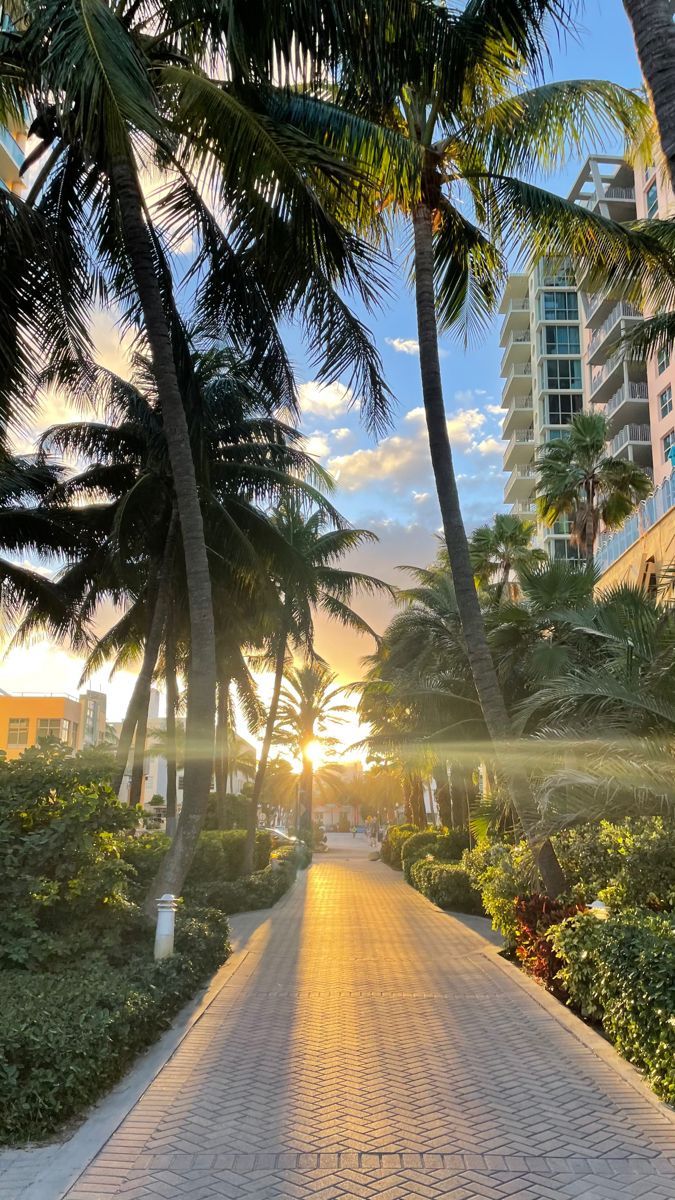 675x1200 Miami