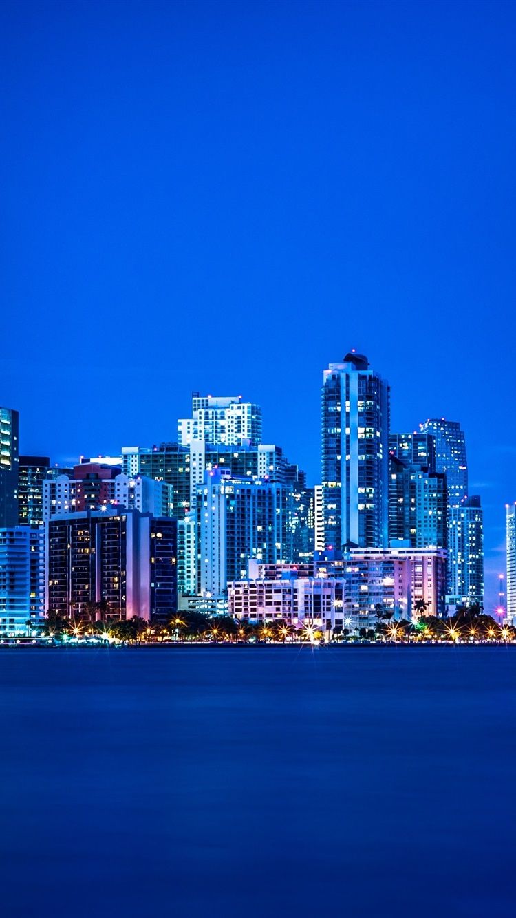 750x1334 Wallpaper Miami, Florida, night, lights, city, buildings, blue 2560x1920 Picture, Image