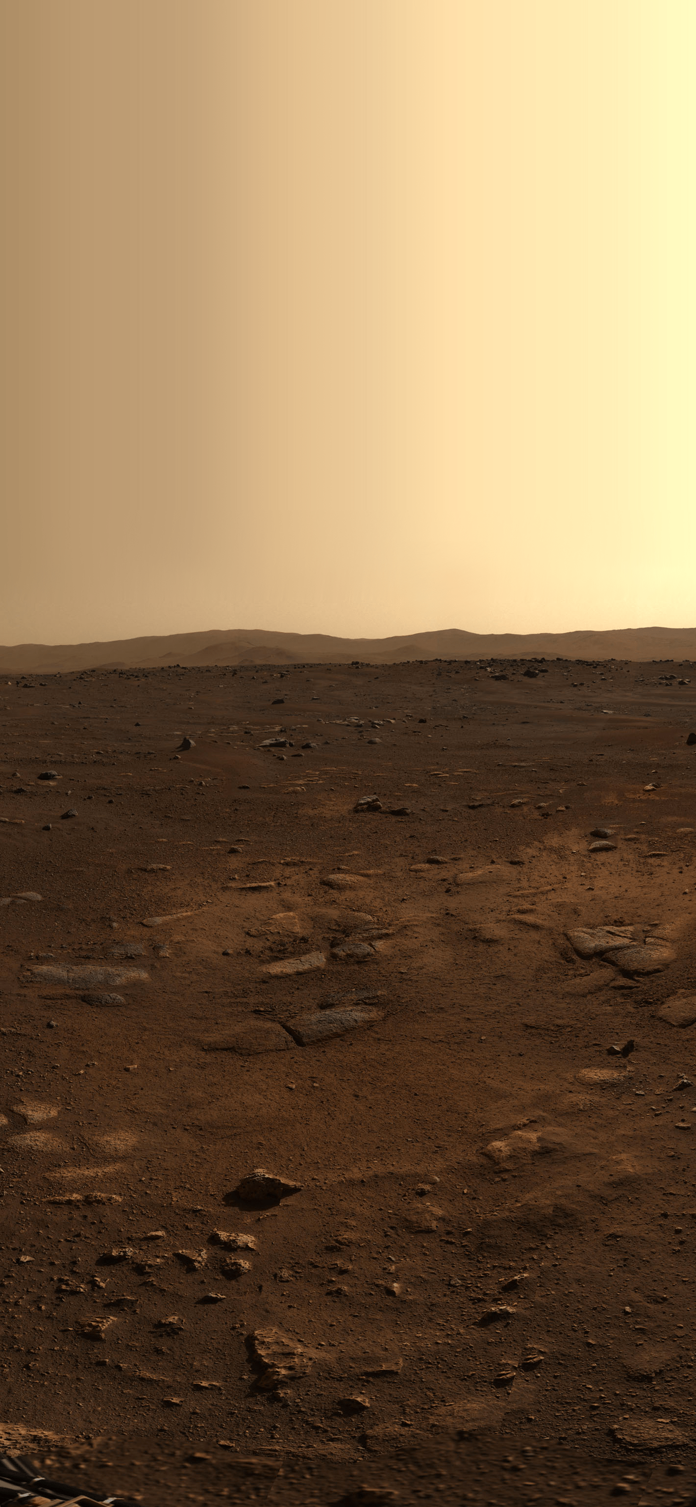 1420x3073 The Real MARS Surface (from Perseverance rover)