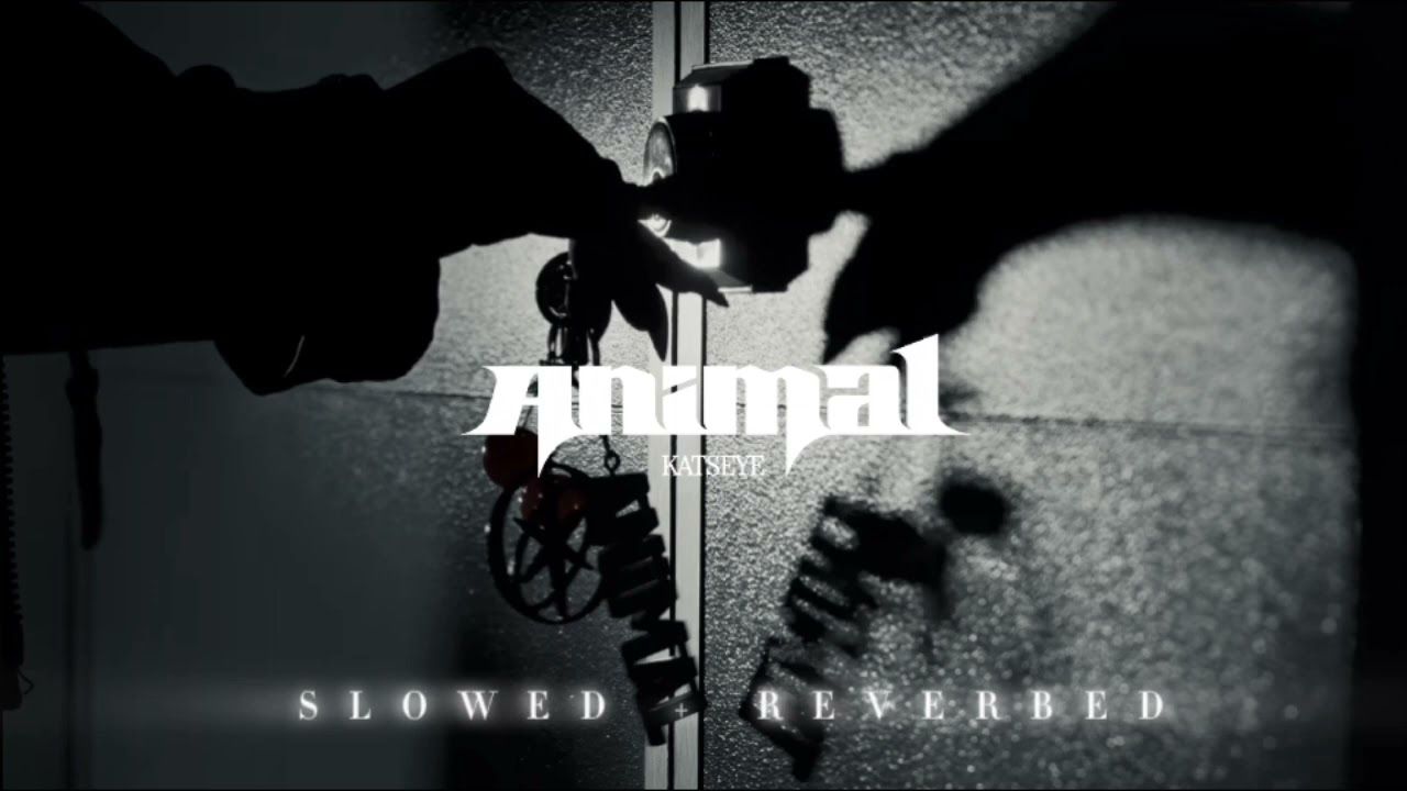 1280x720 ANIMAL by KATSEYE. SLOWED AND REVERBED