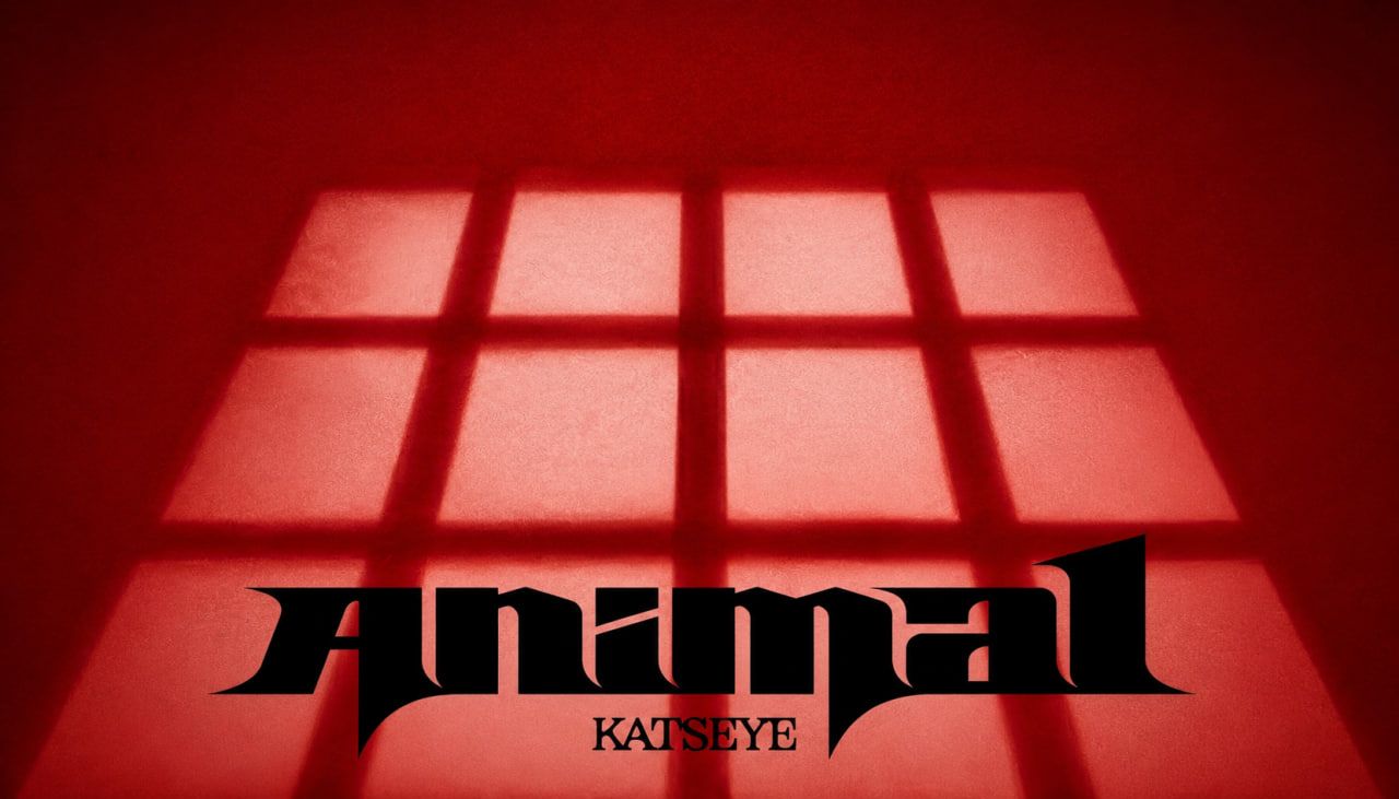 1280x731 دانلود آهنگ Animal از KATSEYE. کتس آی خارجی ترند جدید اینستا