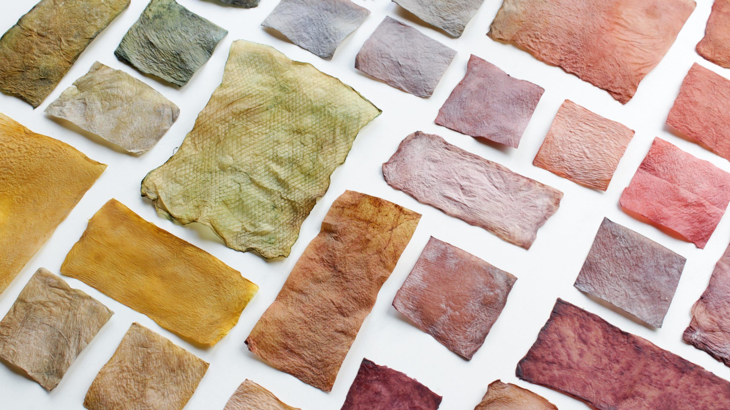 2560x1440 What not to miss at Dutch Design Week 2020 part 5: biomaterials