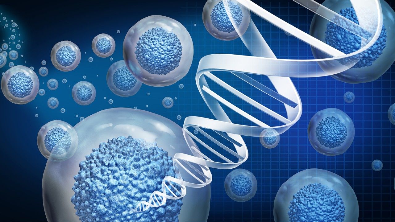 1280x720 Technological Marvels: Biomaterials Spearheading a Regenerative Revolution