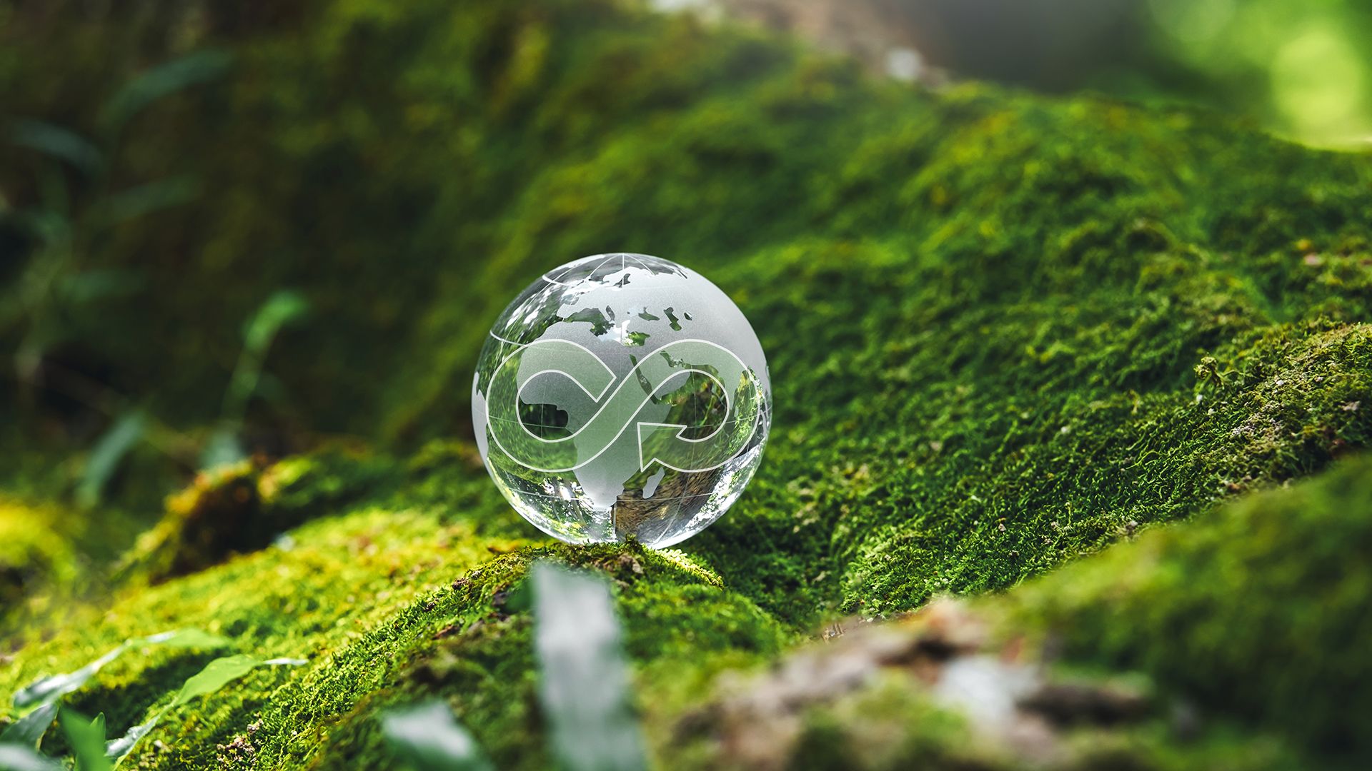 1920x1080 Why rigorous standards are vital in the sustainable biomaterials supply chain