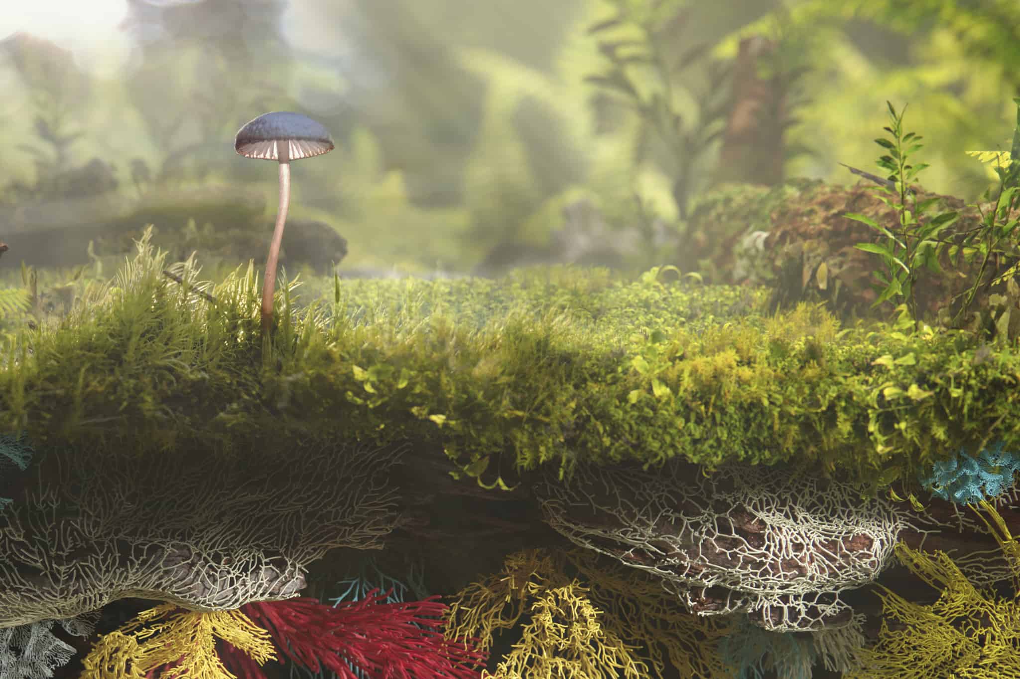 2048x1365 Bolt Threads Enters $250 Million SPAC Agreement to Go Public on Nasdaq with Sustainable Biomaterials vegan business magazine