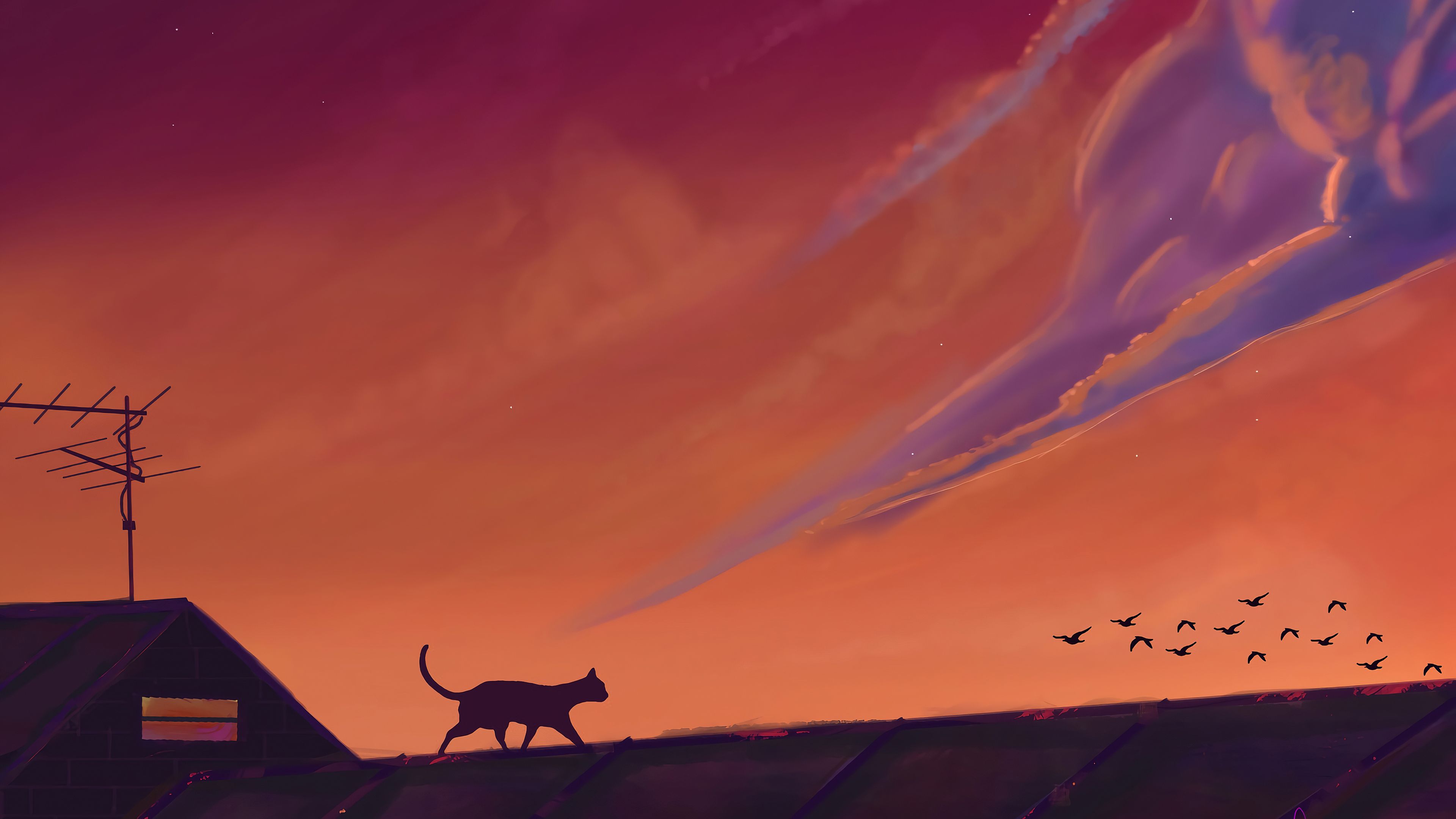 3840x2160 Cat Sky Nature Scenery Digital Art 4k Wallpaper, HD Artist Wallpaper, 4k Wallpaper, Image, Background, Photos and Picture
