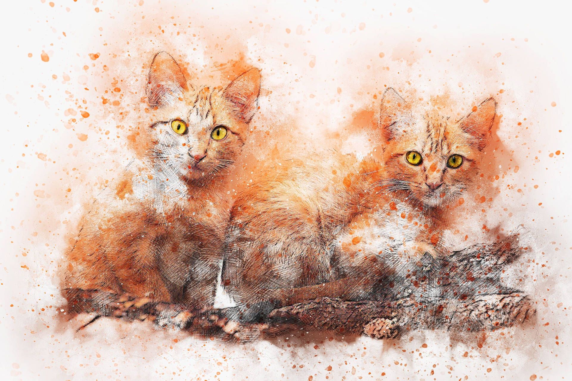 1920x1280 Cat Art Wallpaper
