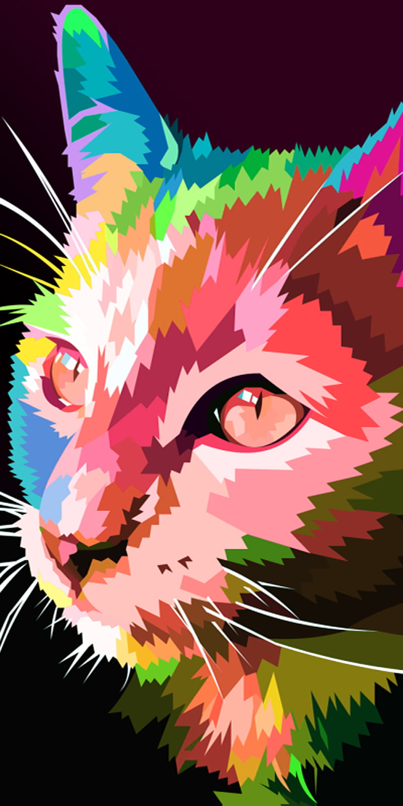 800x1600 Cat, art, color, colourful, kitten, HD phone wallpaper