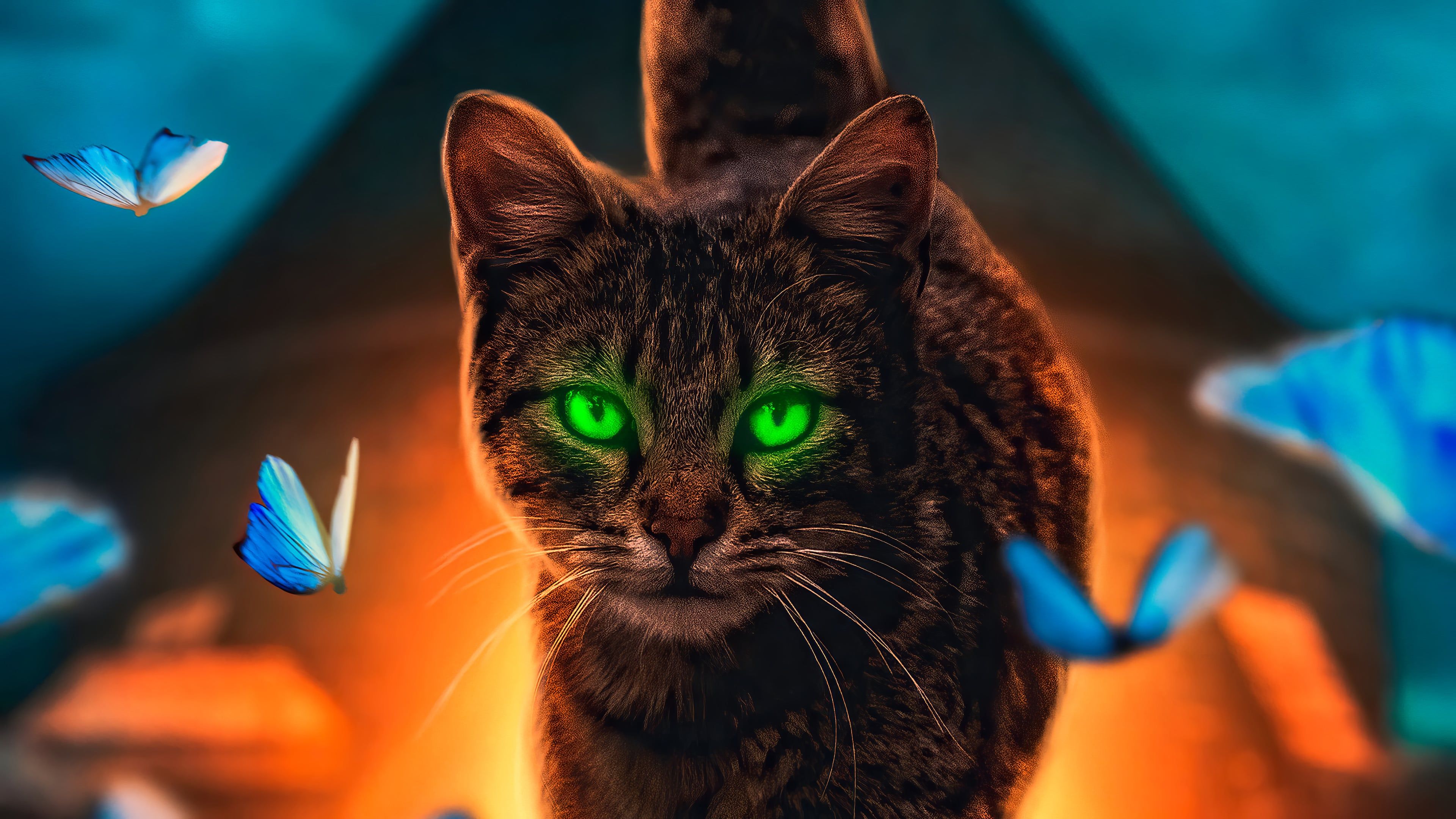 3840x2160 Cat with butterflies Digital Art Wallpaper 4K for Desktop