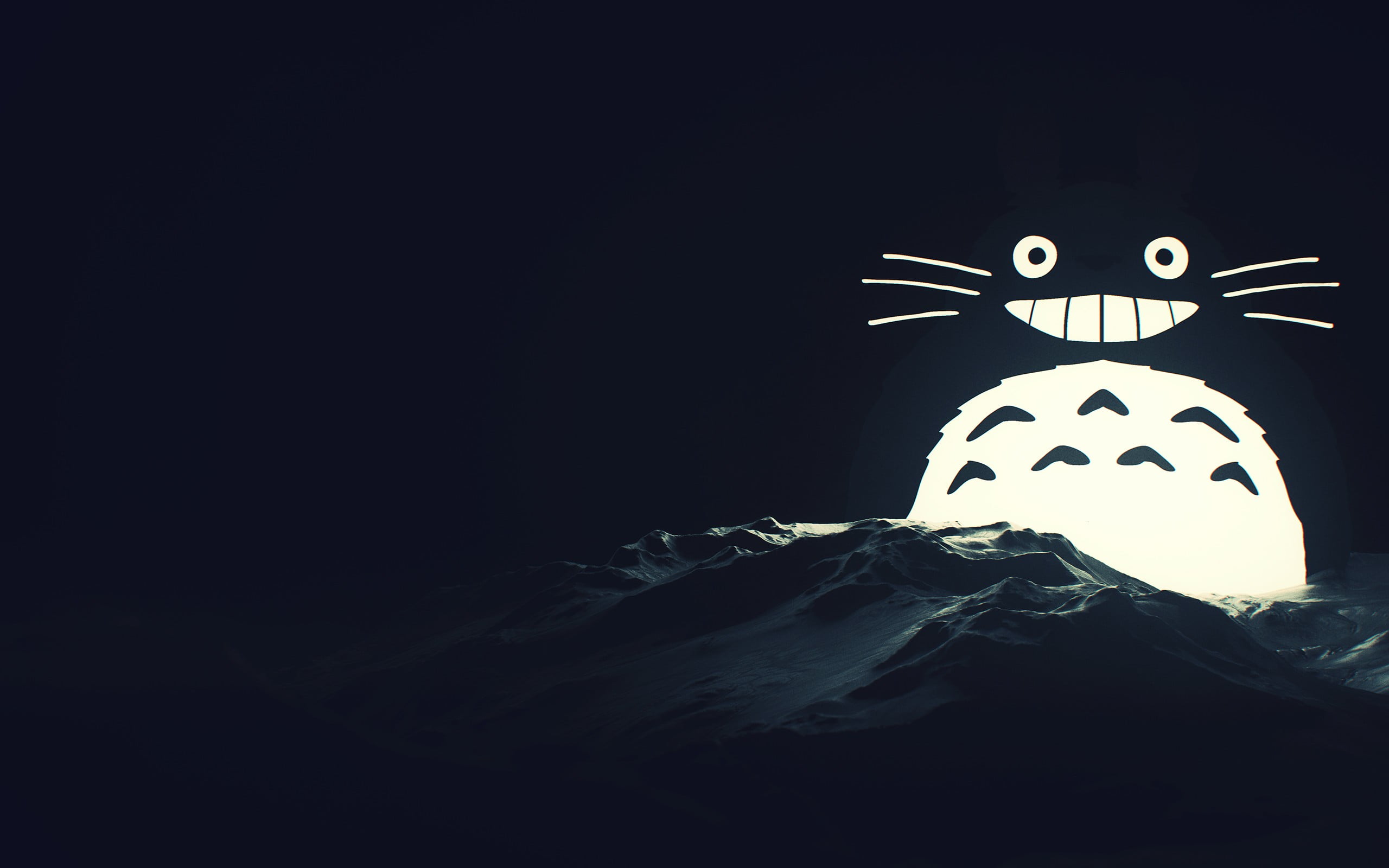 2560x1600 Black and white cat illustration, digital art, SliD seals, ice HD wallpaper