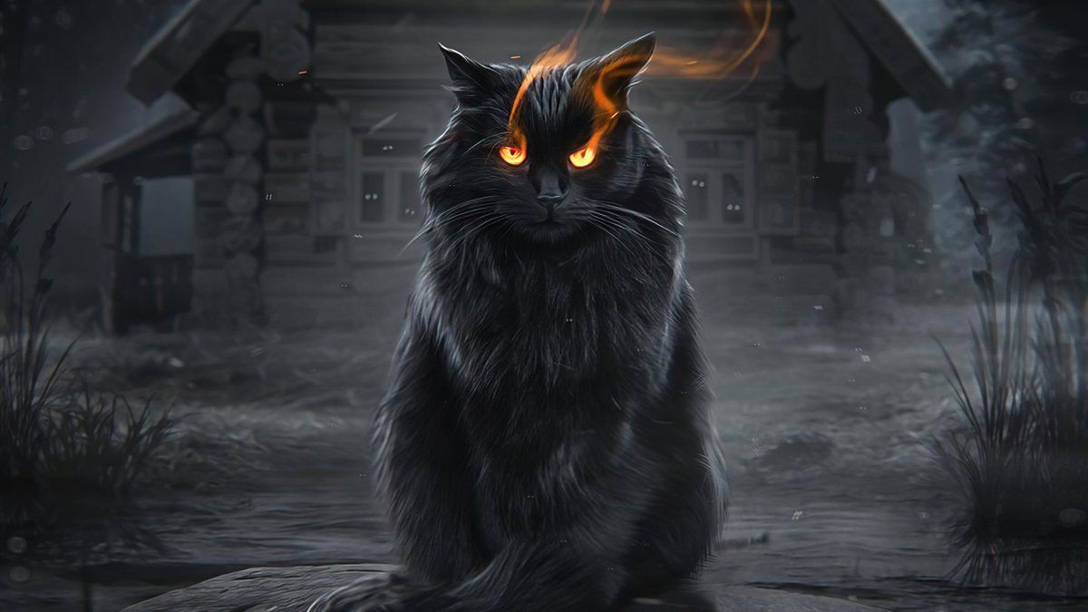 1200x675 4k #wallpaper for your #laptop #Pc #Cat #Dark #Animals
