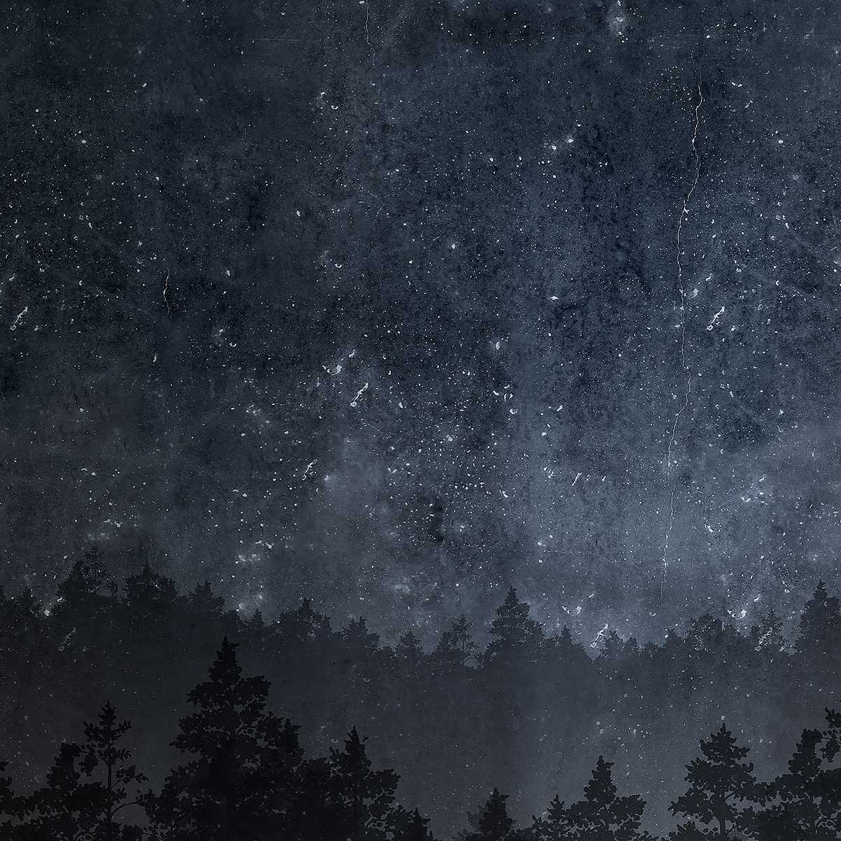 1203x1203 Tree wallpaper Night Mural