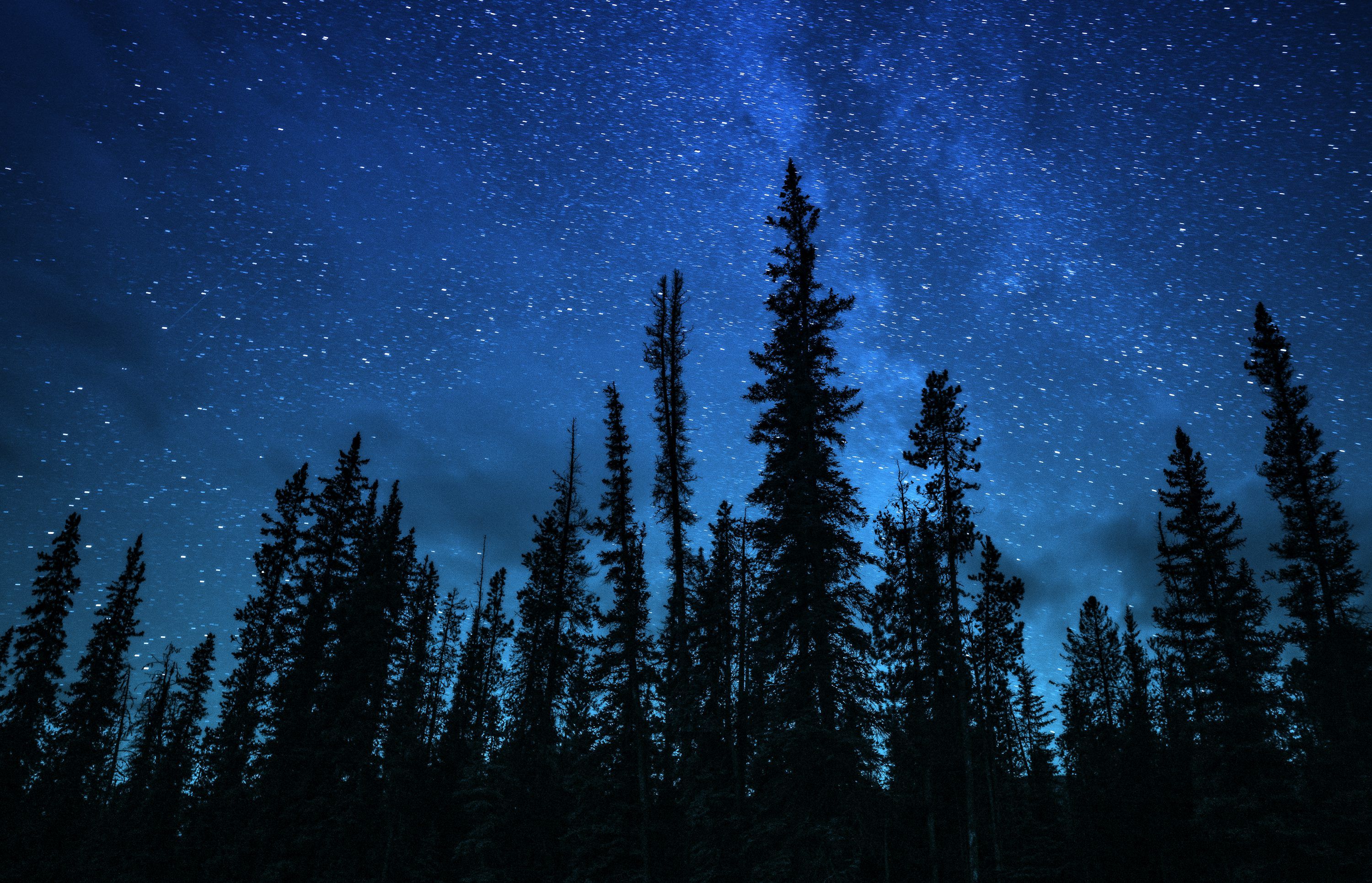 3000x1931 Green trees under blue sky during night time photo