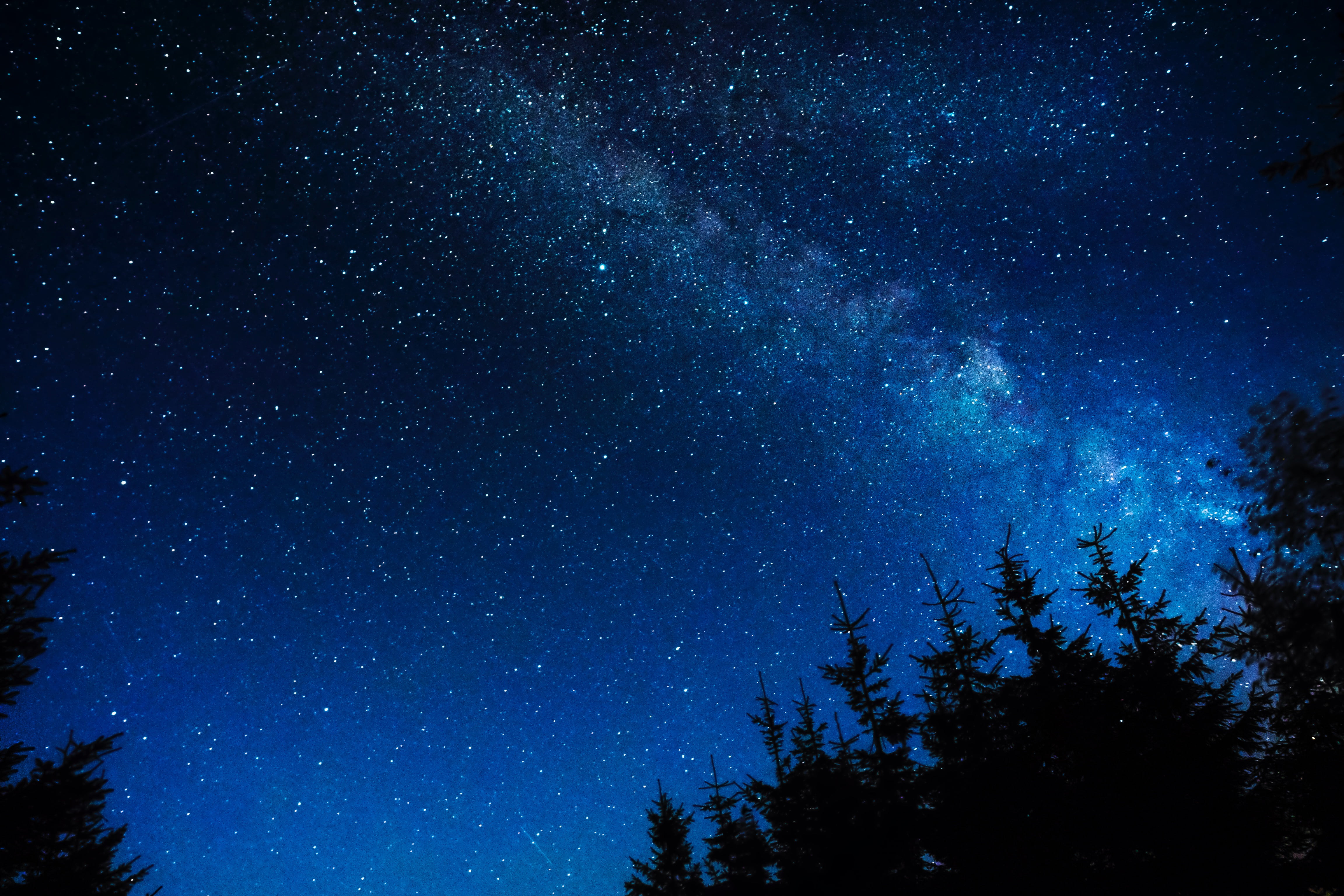 4608x3072 Trees under the blue night sky HD wallpaper