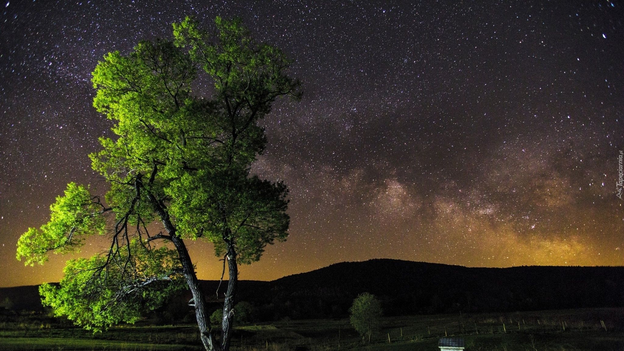 2048x1152 Wallpaper Green Tree Under Blue Sky During Night Time, Background Free Image
