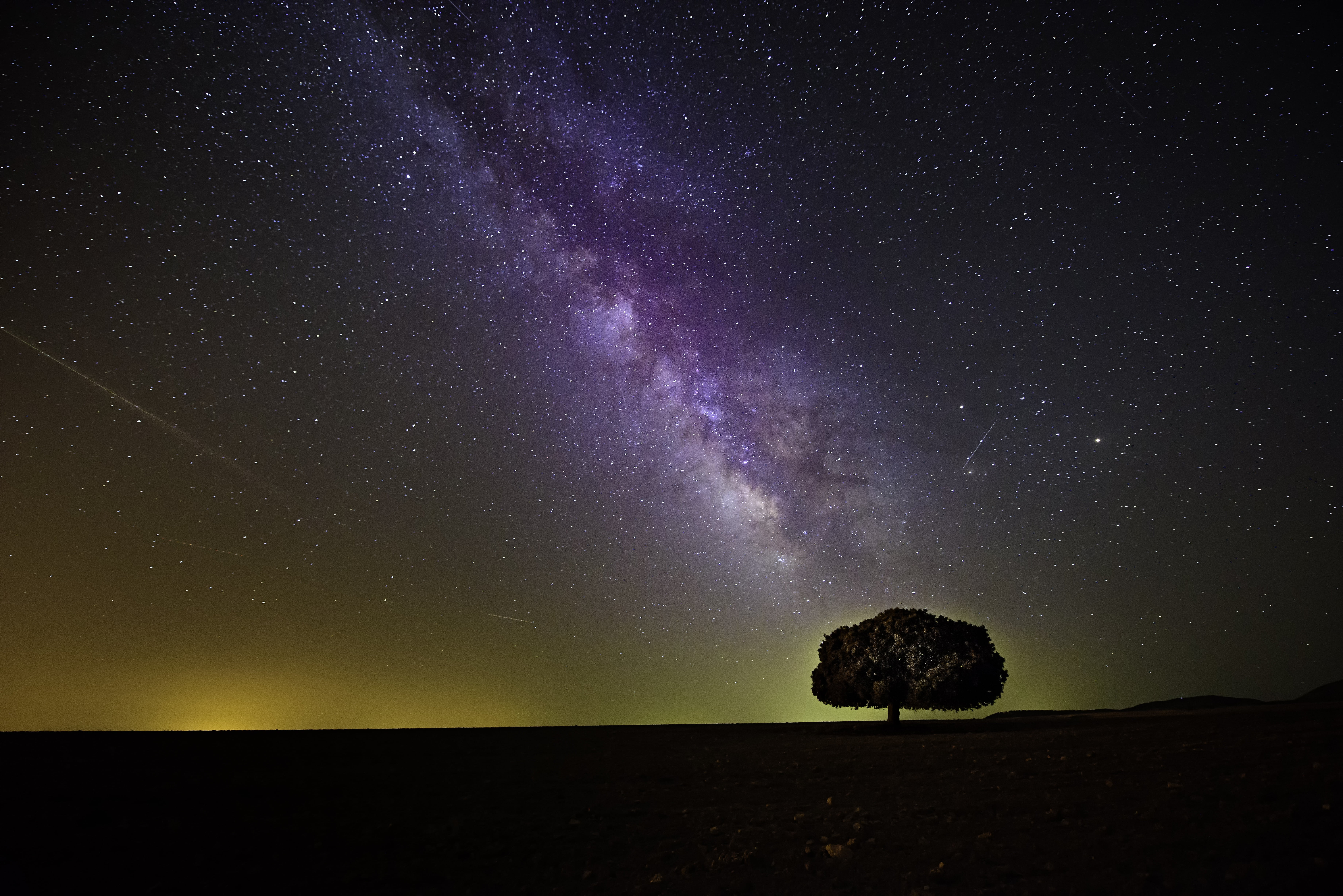 7360x4912 Royalty Free Photo: Silhouette Of Tree During Nighttime