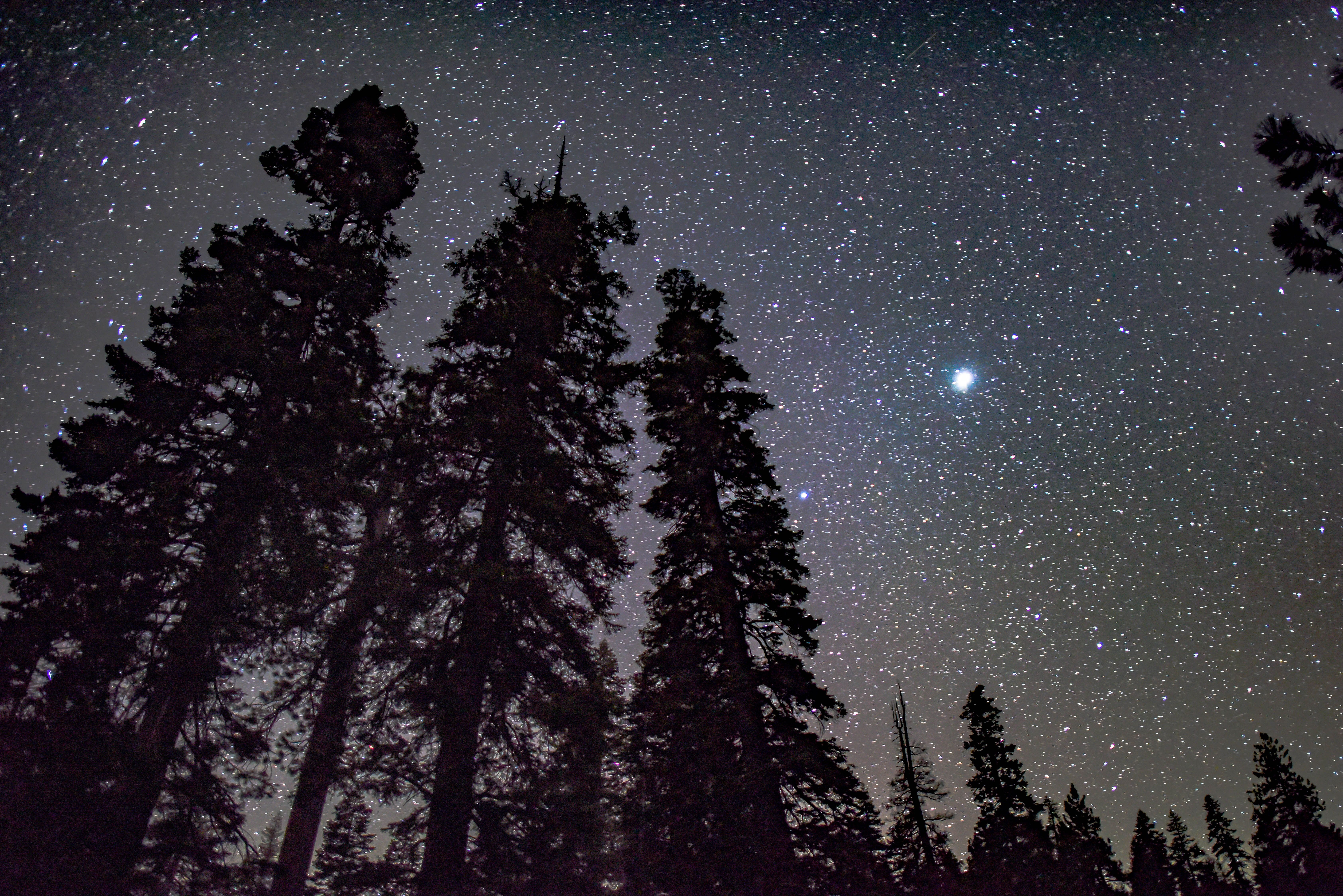 6743x4500 Wallpaper Pine Tree Silhouette Night Sky, Tree, Silhouette, Pine, Atmosphere, Background Free Image