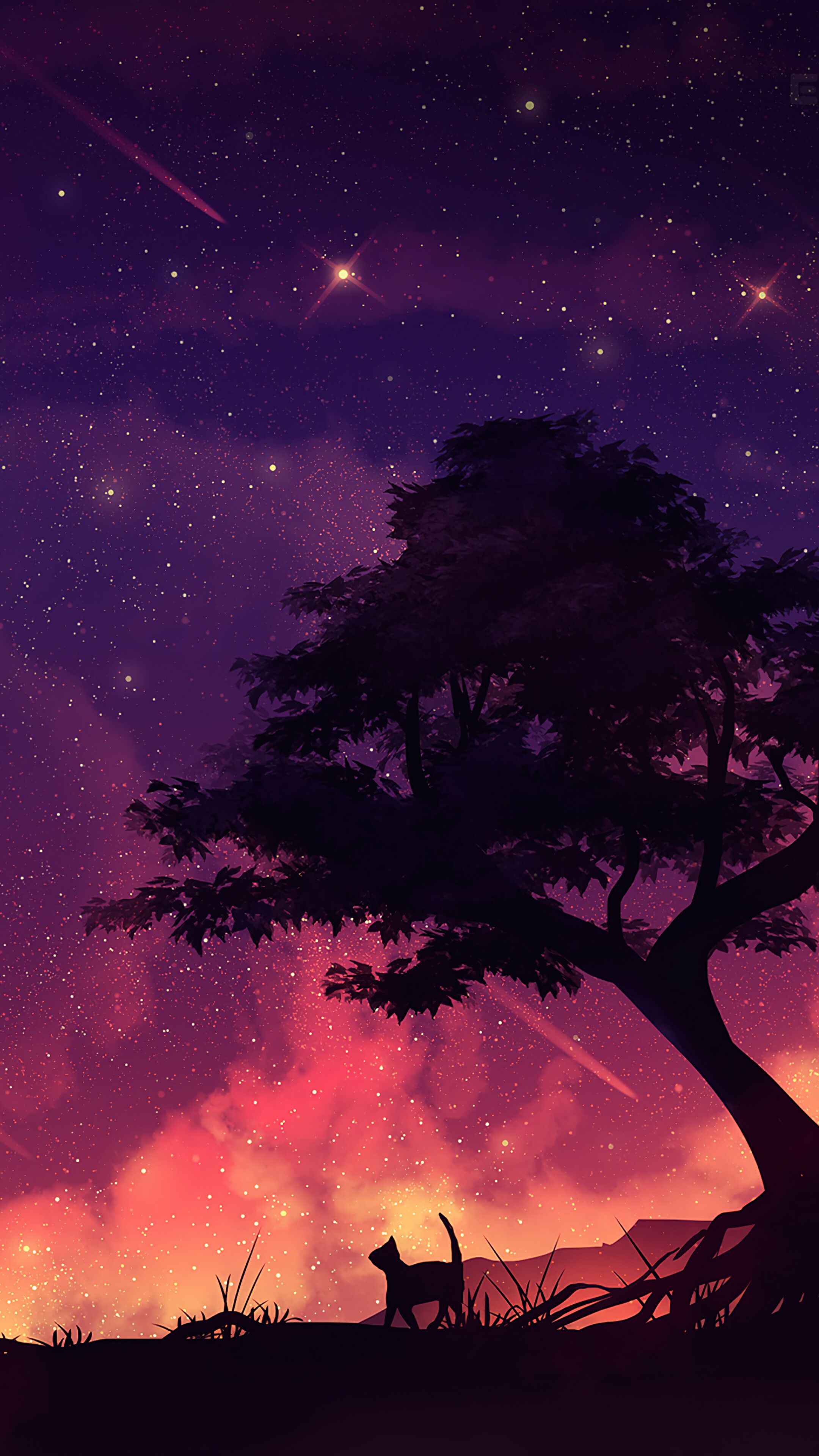2160x3840 