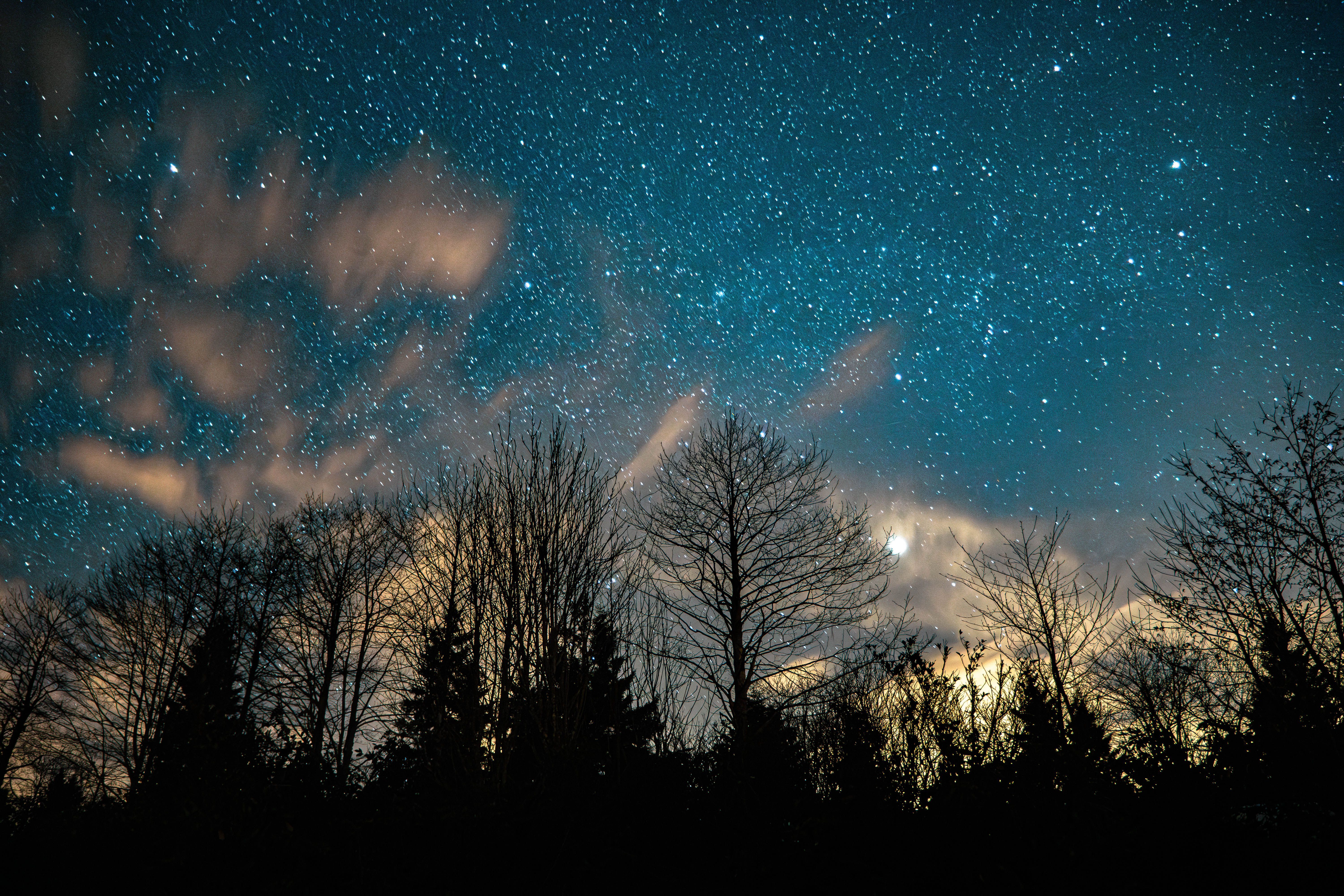 6000x4000 Starry Night Sky Over Silhouetted Trees · Free