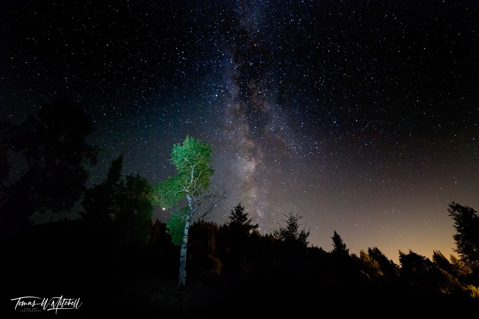 1600x1067 Night sky Milky Way Aspen Forest Utah Photo Art. Tomas W Mitchell