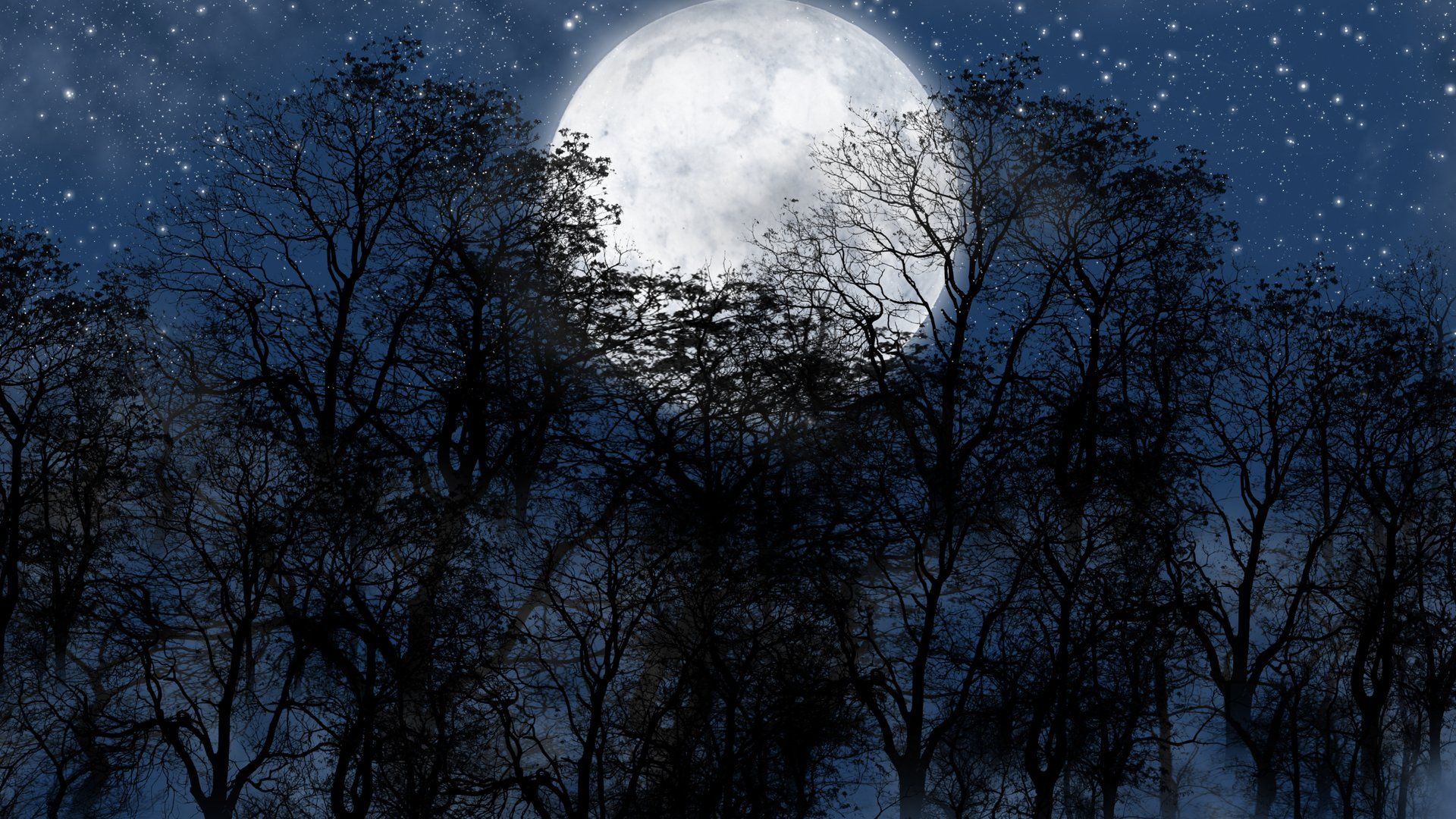 1920x1080 Download Starry Sky Night Blue Silhouette Tree Forest Moon Artistic Fantasy HD Wallpaperx1080