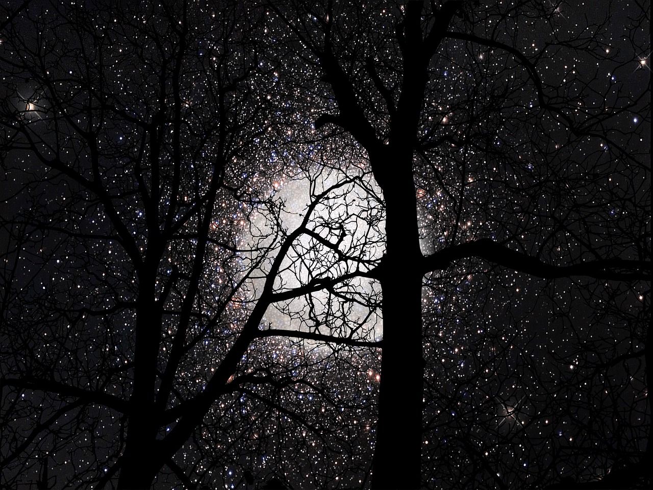 1280x960 Stars Sky Trees