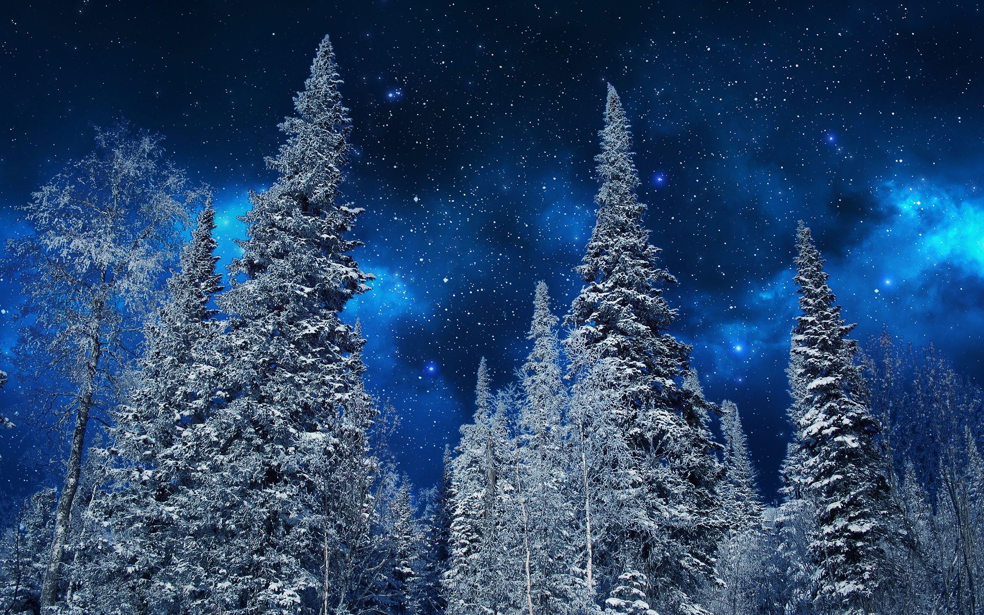 1920x1200 Phone wallpaper: Starry Sky, Winter, Snow, Earth, Forest, Sky, Stars, Tree 812385