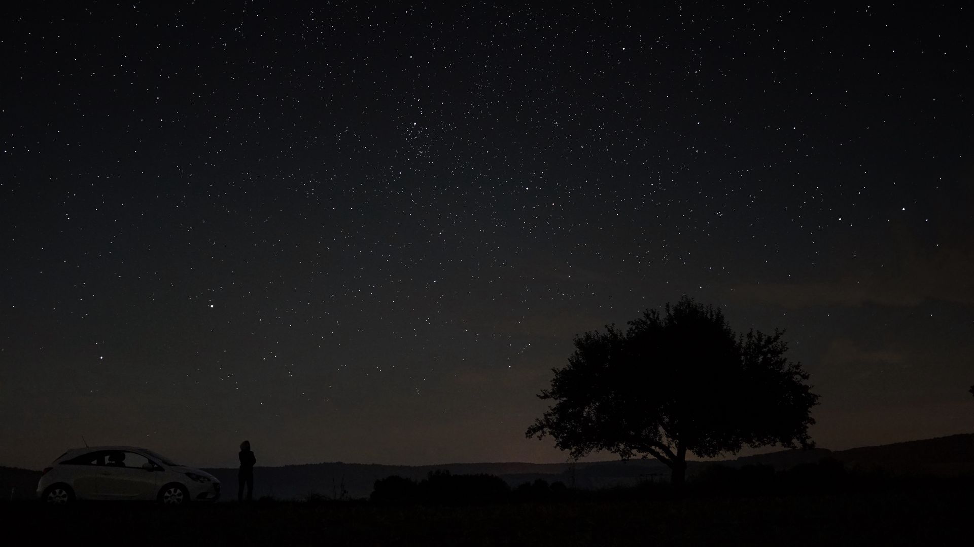 1920x1080 Download wallpaper 1920x1080 starry sky, tree, night, sky full hd, hdtv, fhd, 1080p HD background