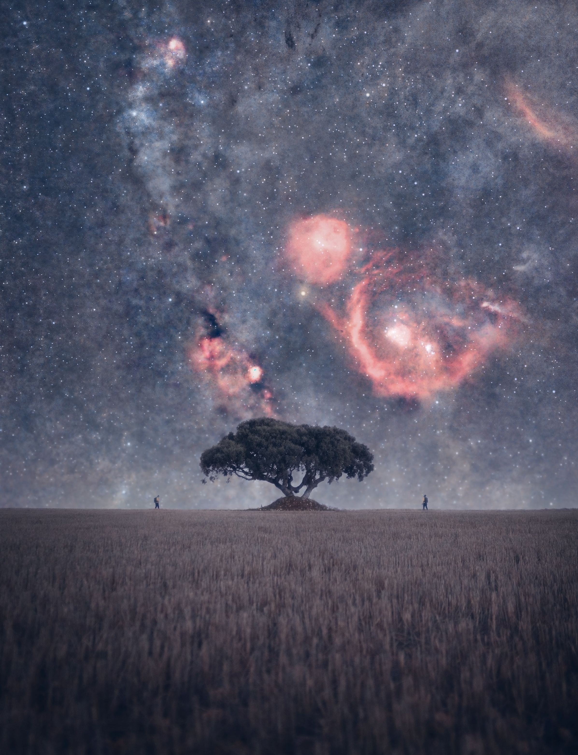 2393x3124 Majestic Night Sky Over Lone Tree Landscape · Free