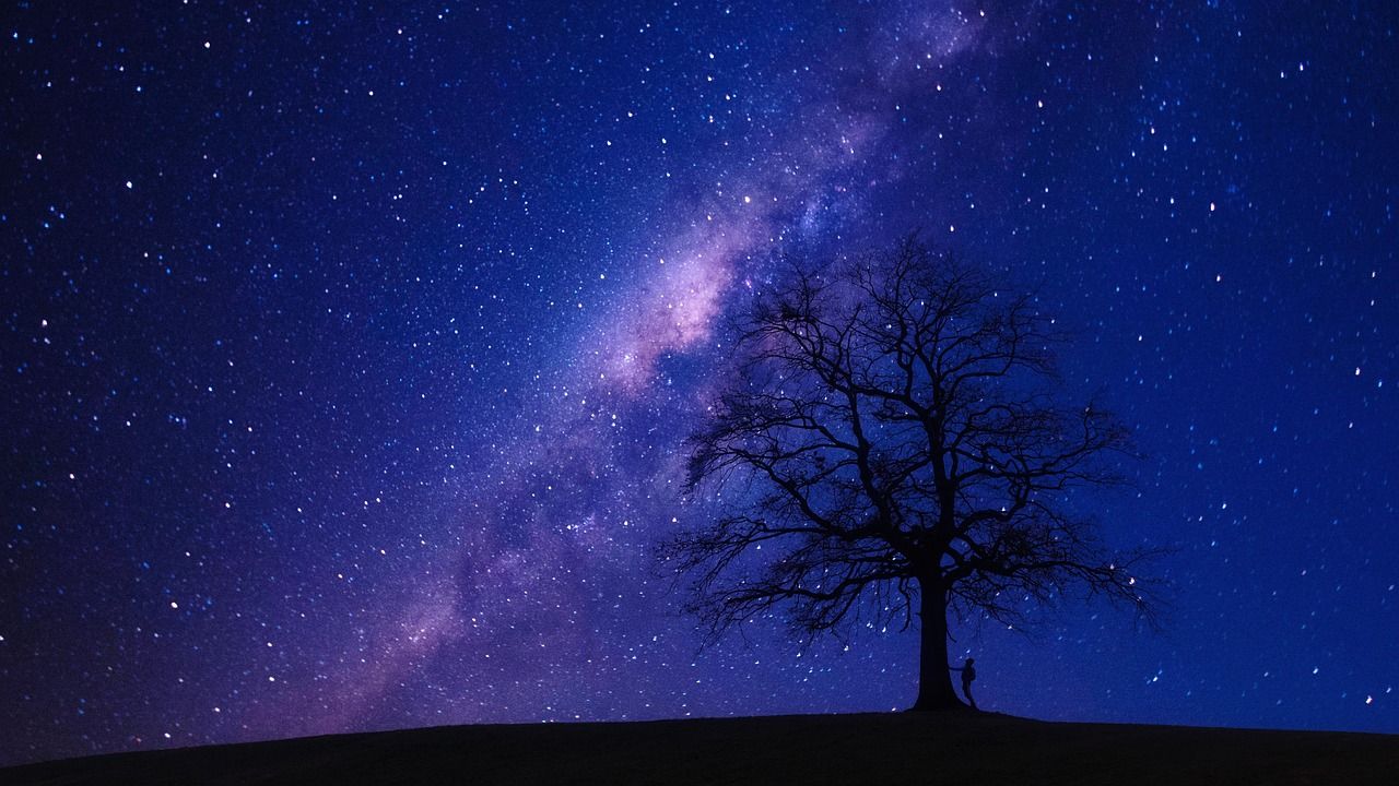 1280x720 Tree Night Stars