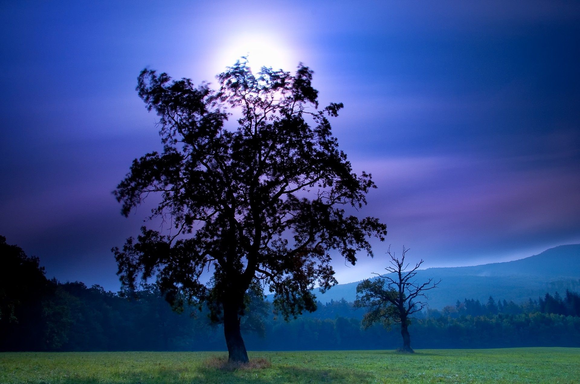 1920x1274 field, Night, Tree, Moon, Sky, Mountains Wallpaper HD / Desktop and Mobile Background