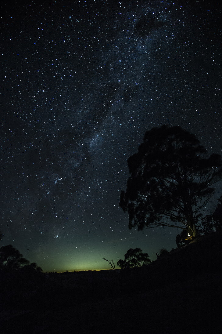 728x1094 HD wallpaper: silhouette of tree, starry sky, hill, horizon, night, star