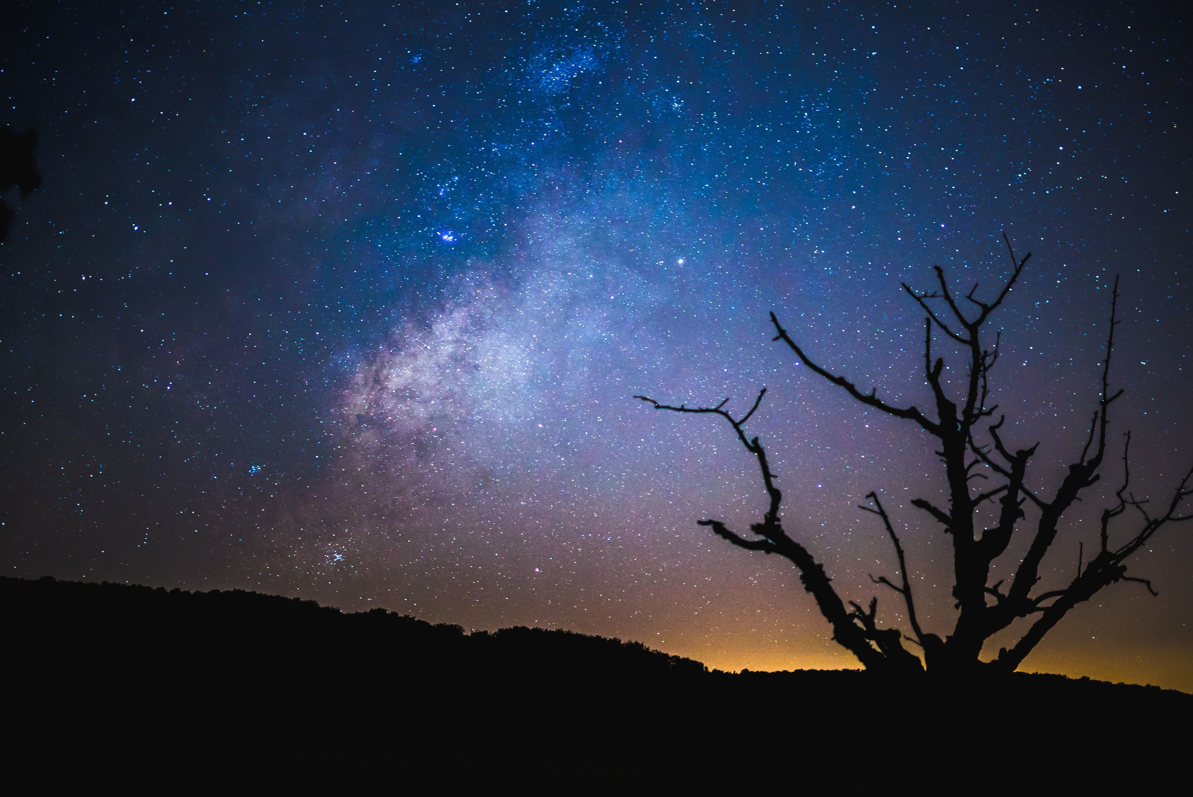 4028x2690 Free picture: cosmos, galaxy, wallpaper, night, silhouette, sky, stars, tree