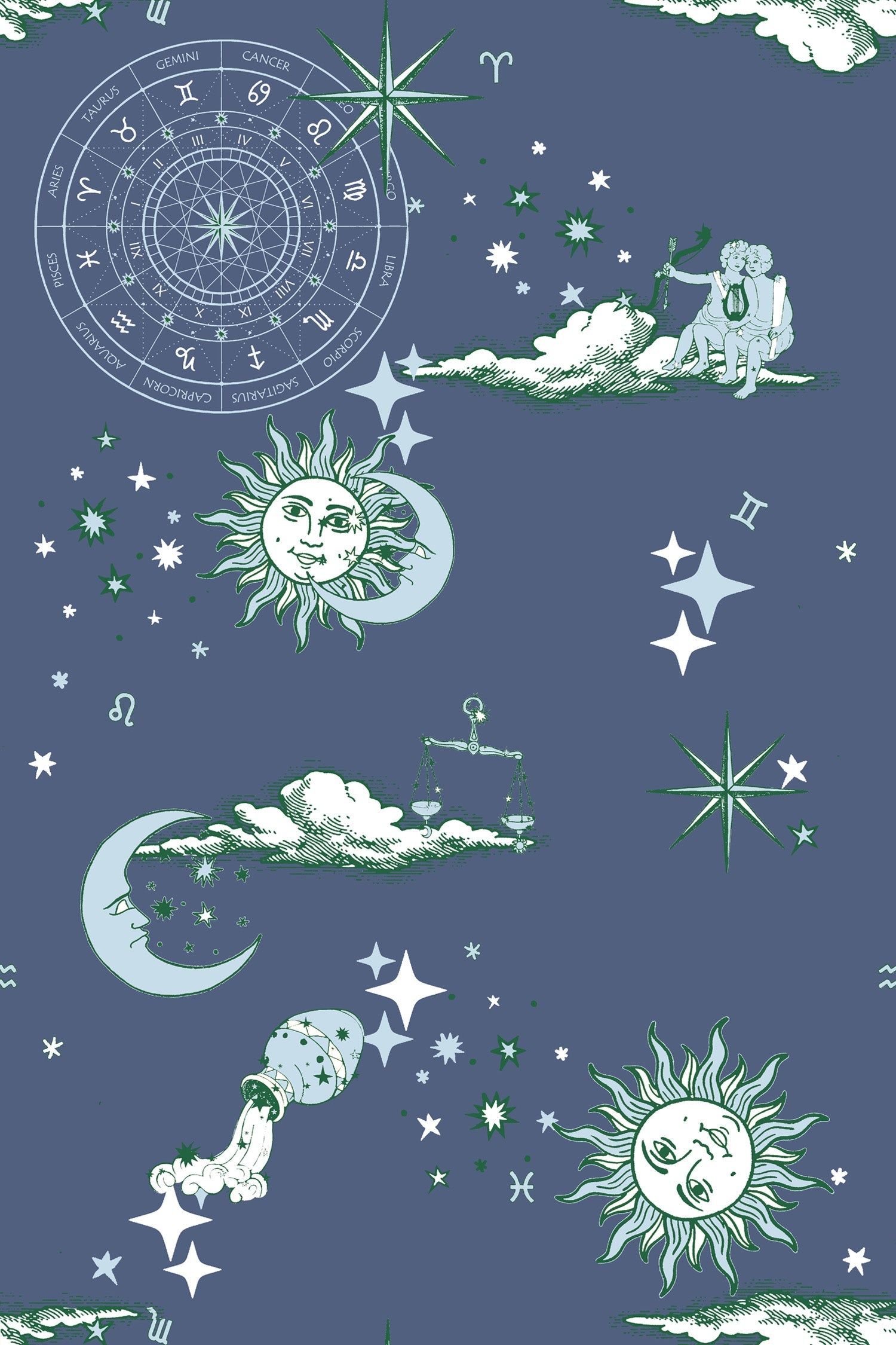 1500x2250 Cosmos Traditional Wallpaper Navy Light Blue / Single Roll