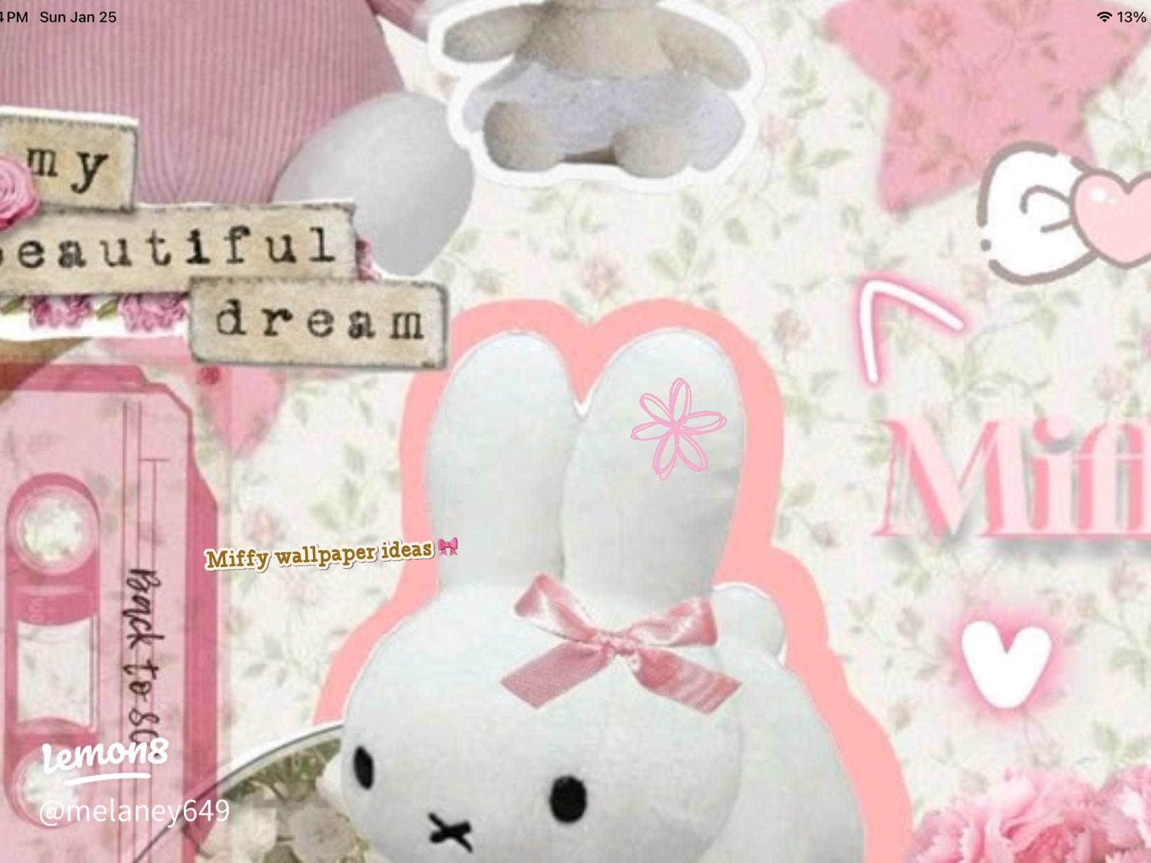 1640x1230 Cute Miffy Wallpaper for iPhone & iPad (Aesthetic Picks)