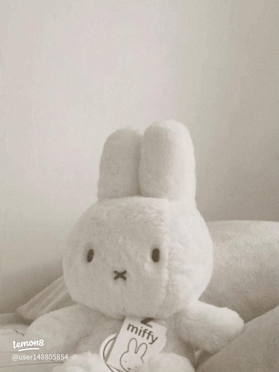 1179x1572 Cute Miffy Wallpaper: Inspiring Ideas for Your Mobile Phone real user experience on Lemon8