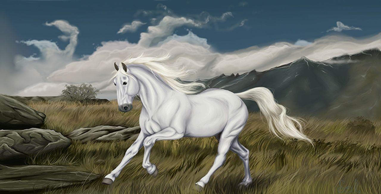 1280x652 Desktop Wallpaper horse Run White animal Painting Art
